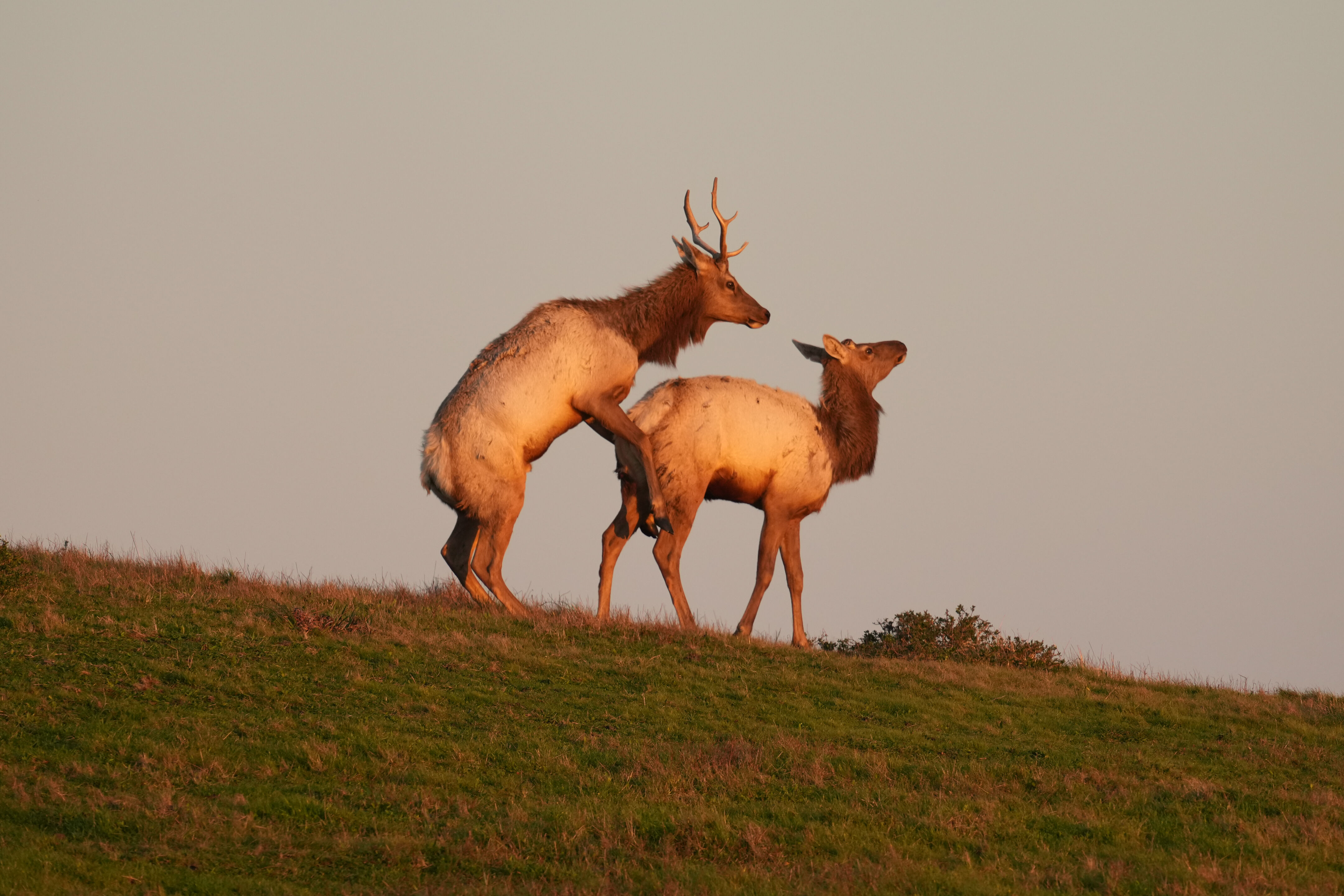Point Reyes National Seashore - Historic Ranches