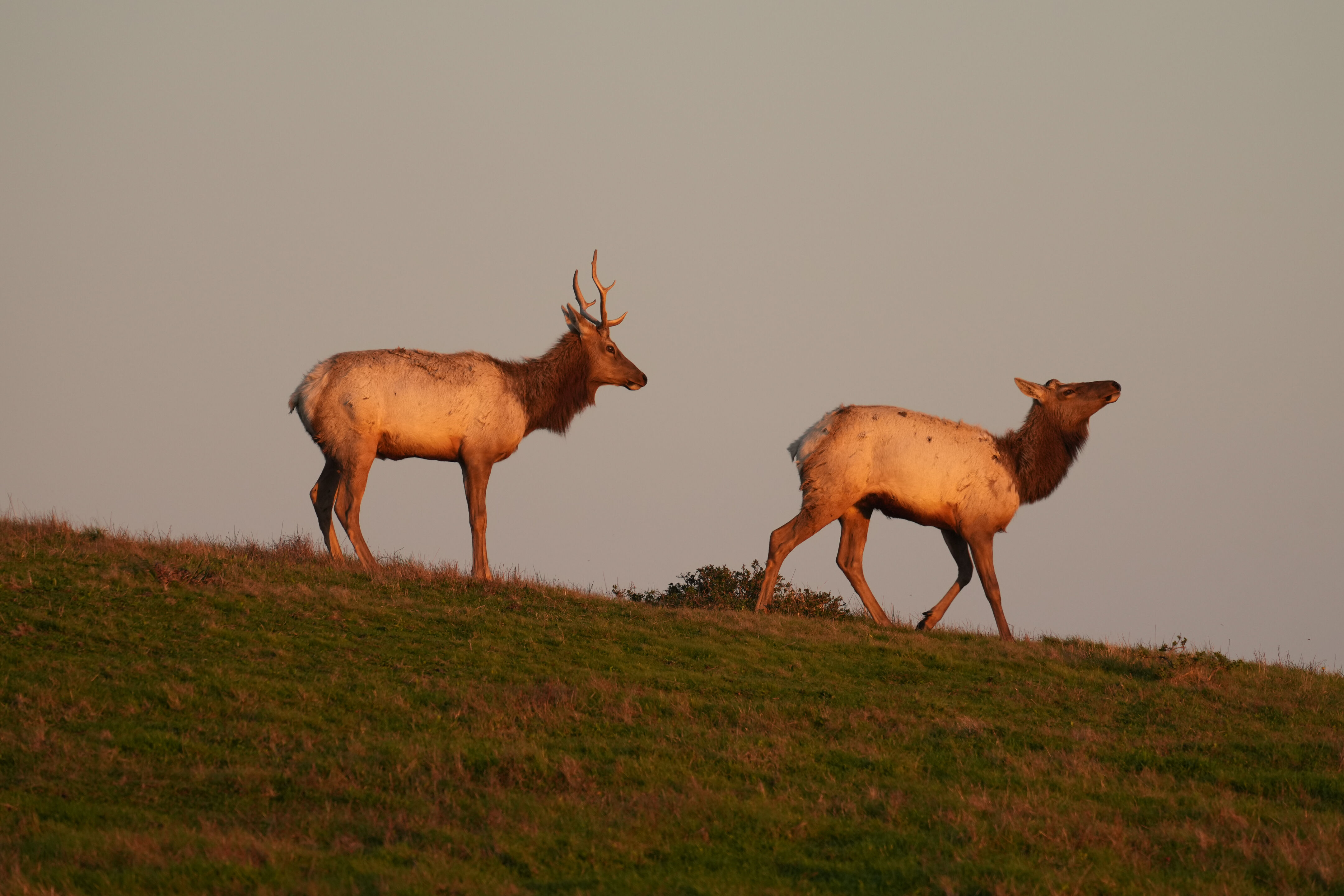 Point Reyes National Seashore - Historic Ranches