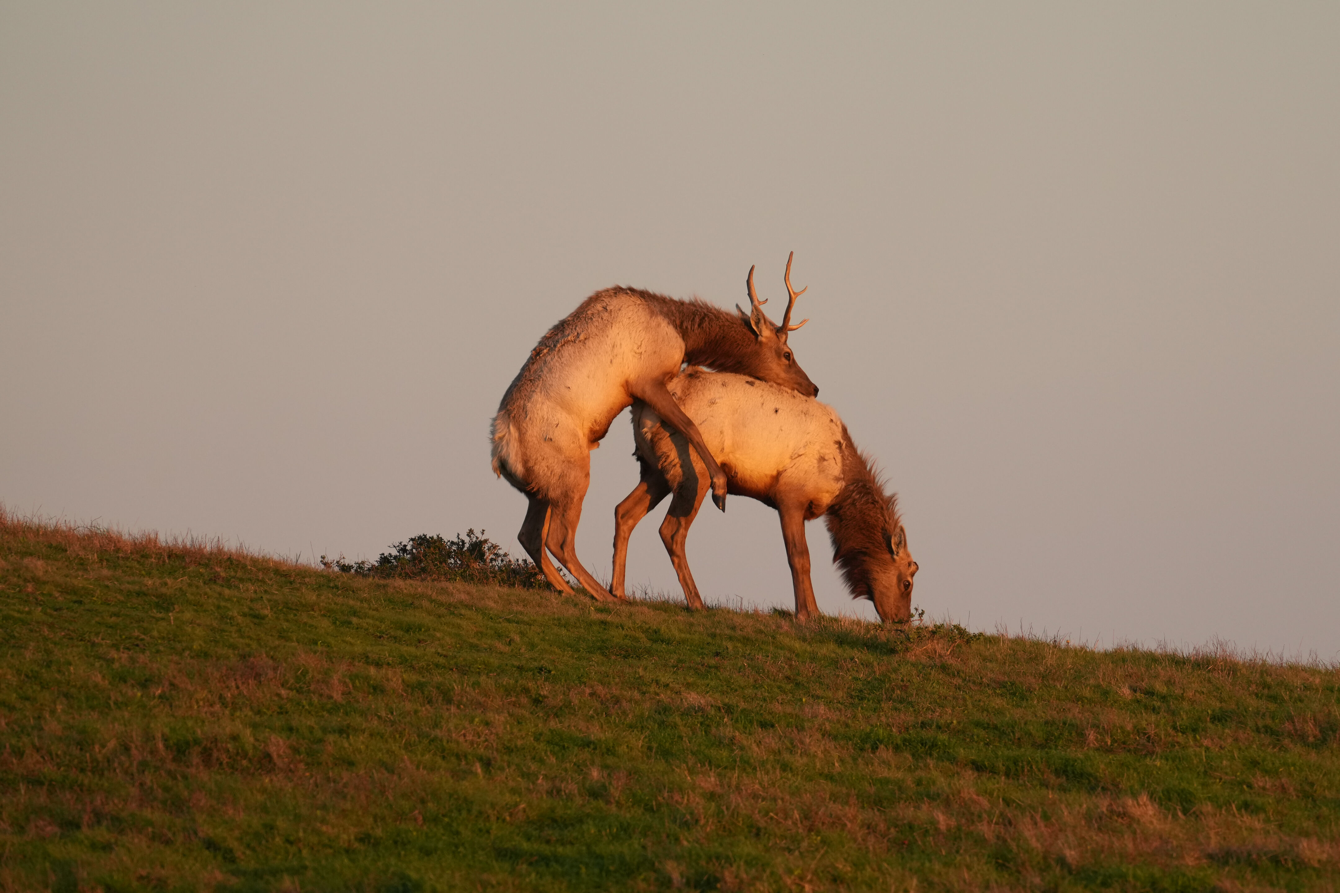Point Reyes National Seashore - Historic Ranches