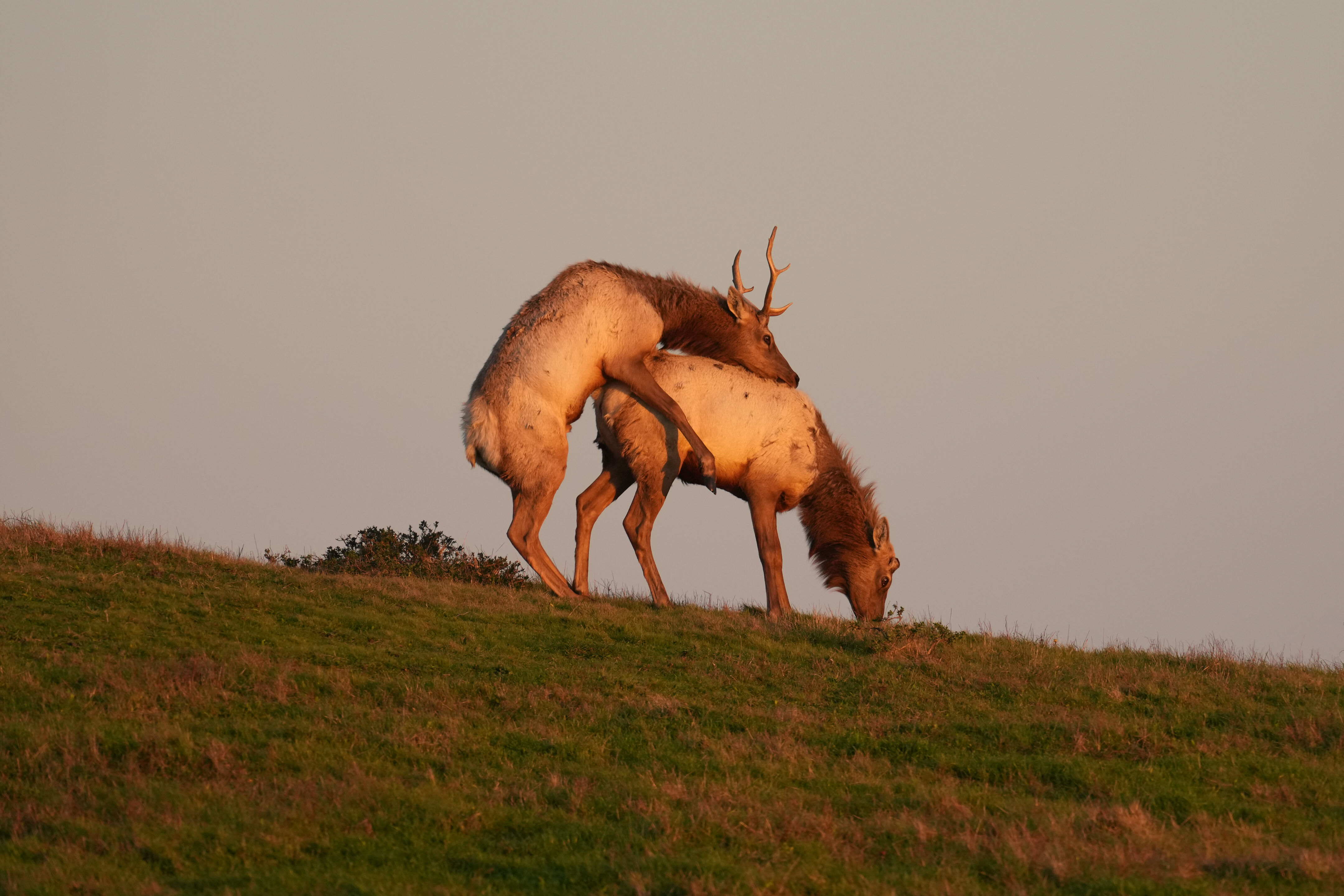 Point Reyes National Seashore - Historic Ranches