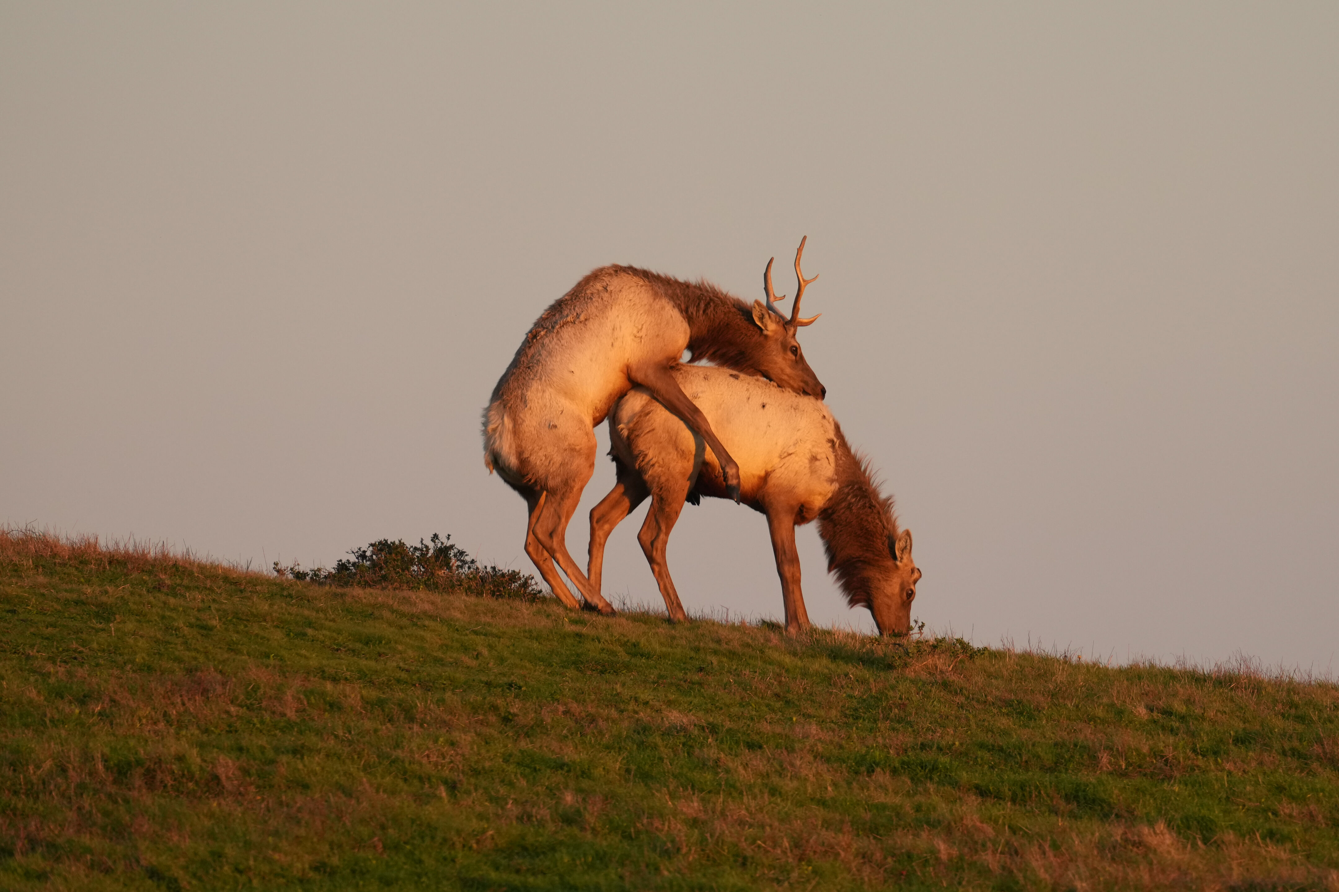Point Reyes National Seashore - Historic Ranches