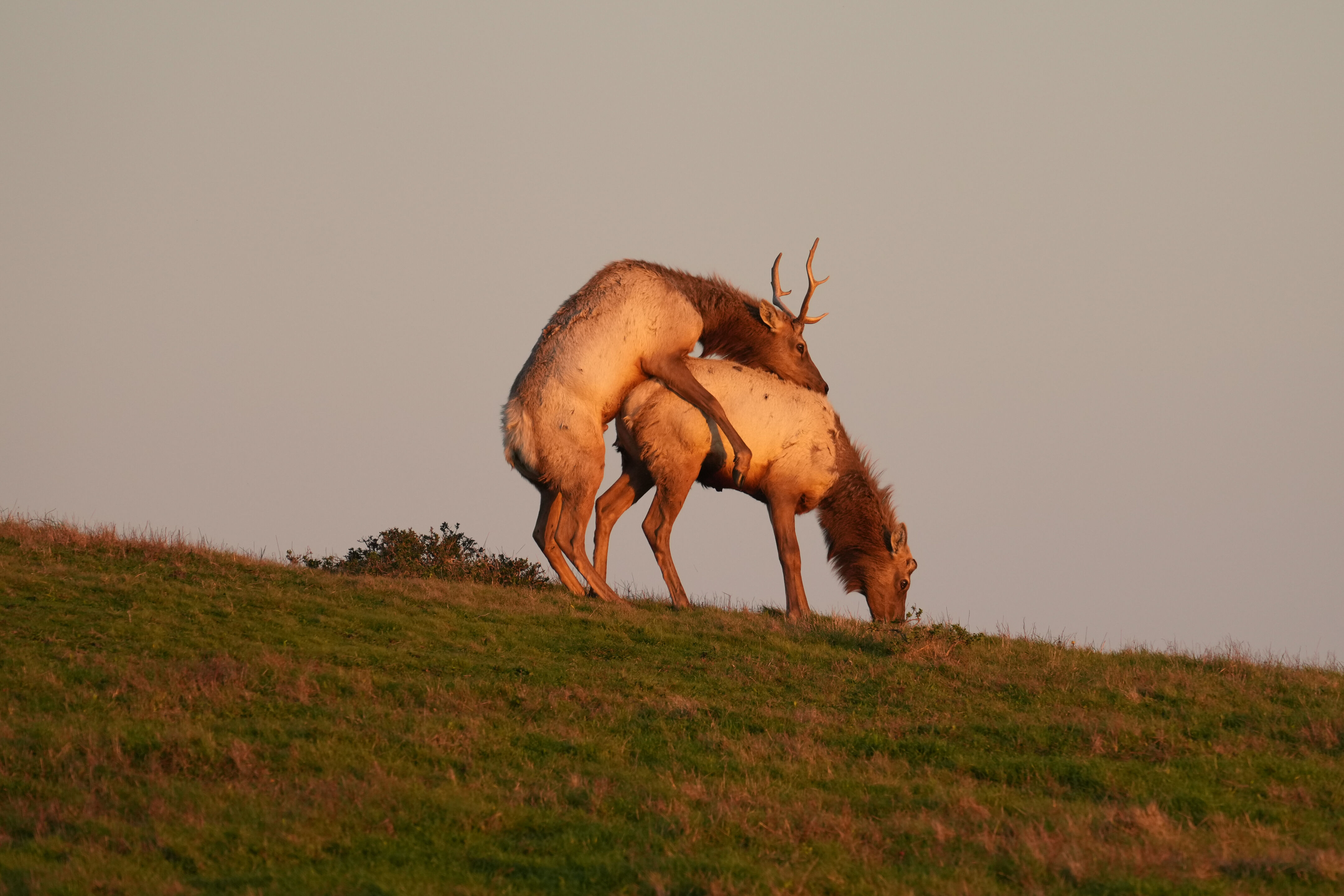 Point Reyes National Seashore - Historic Ranches