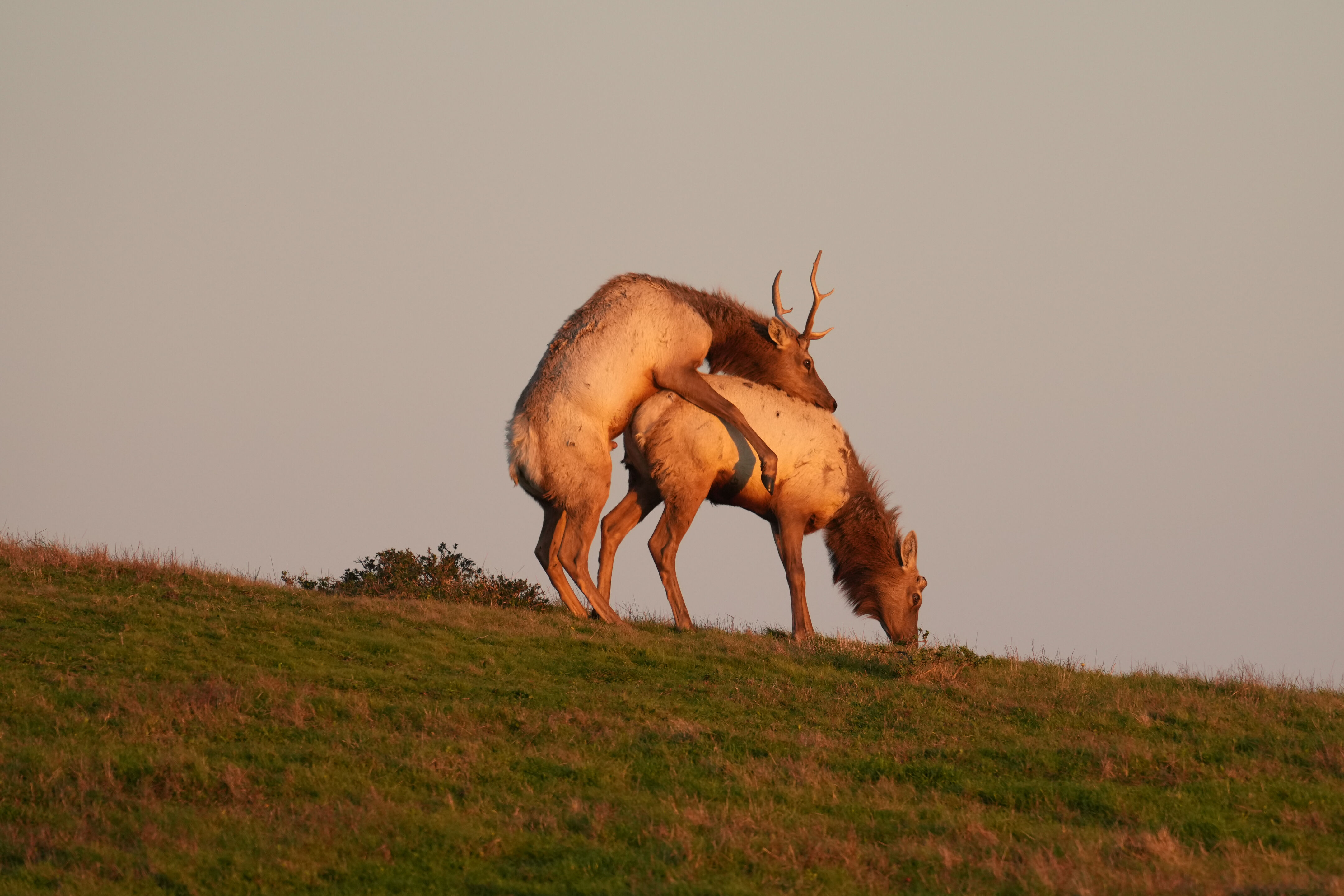 Point Reyes National Seashore - Historic Ranches