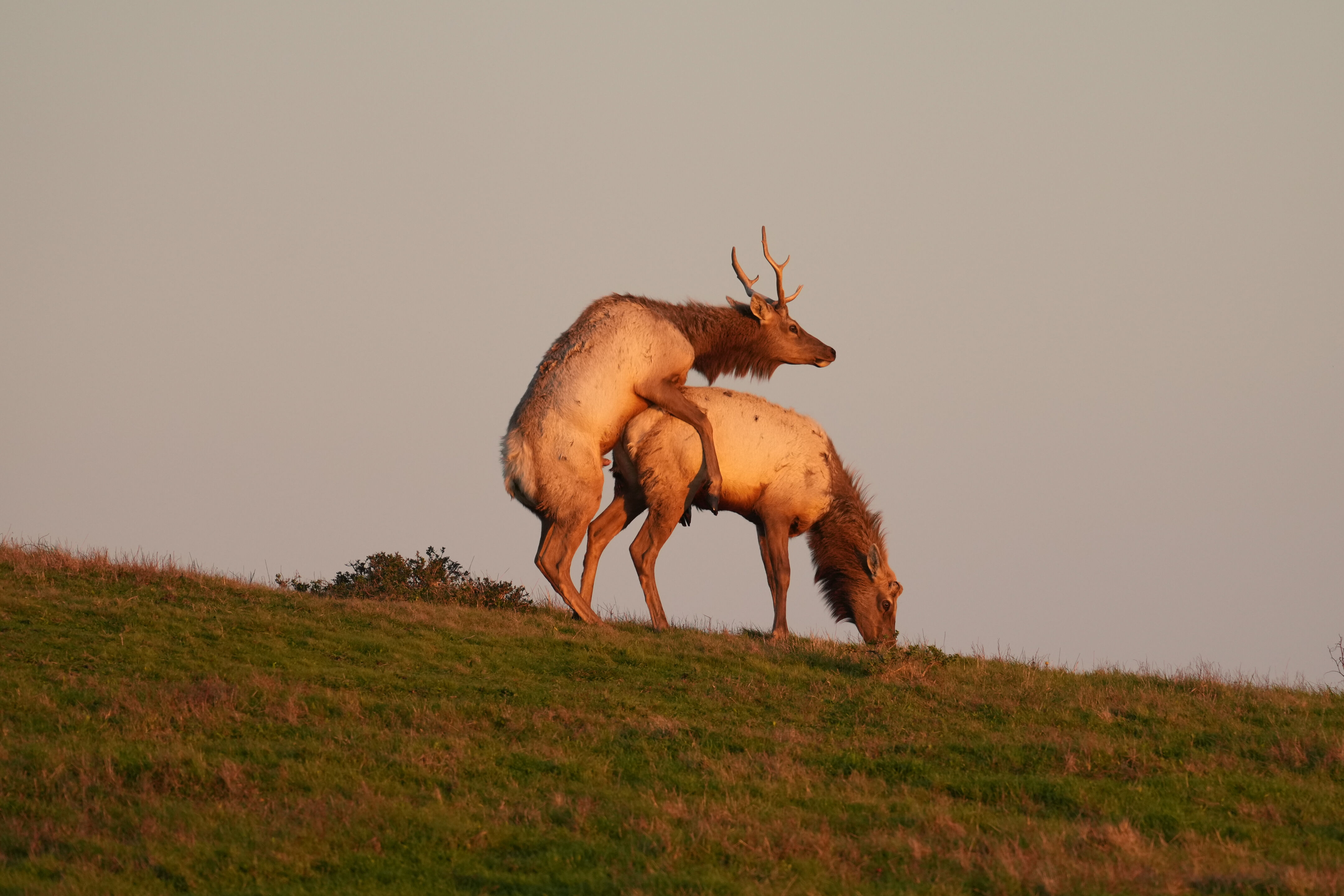 Point Reyes National Seashore - Historic Ranches