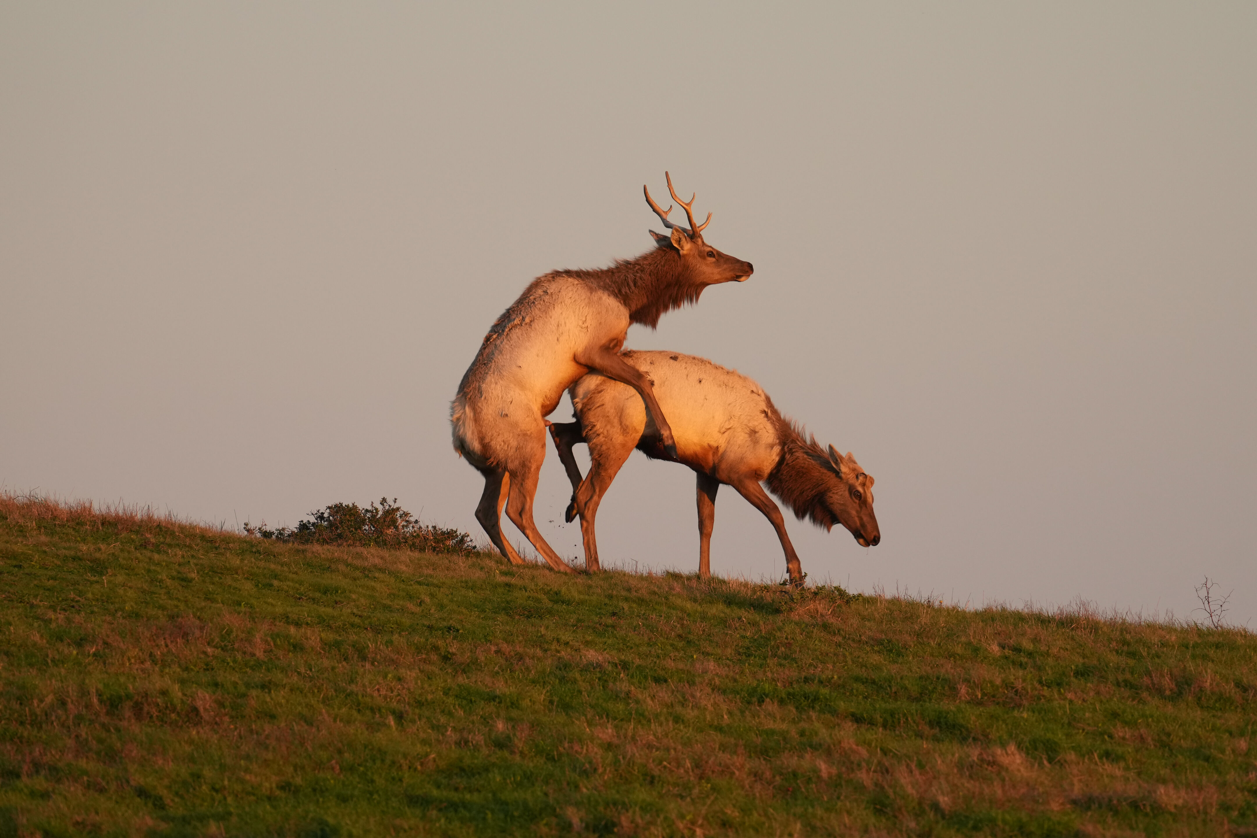 Point Reyes National Seashore - Historic Ranches