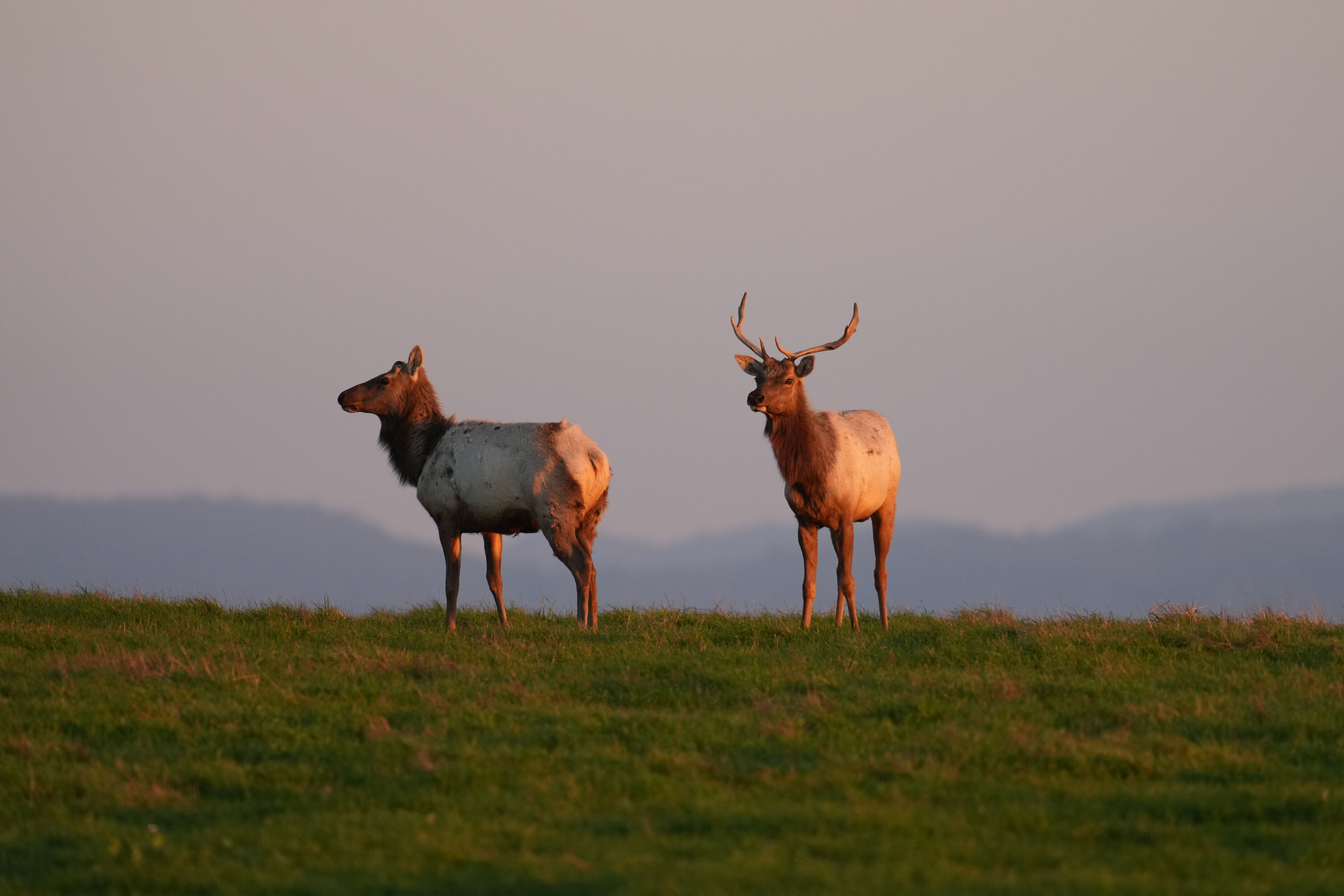 Point Reyes National Seashore - Historic Ranches