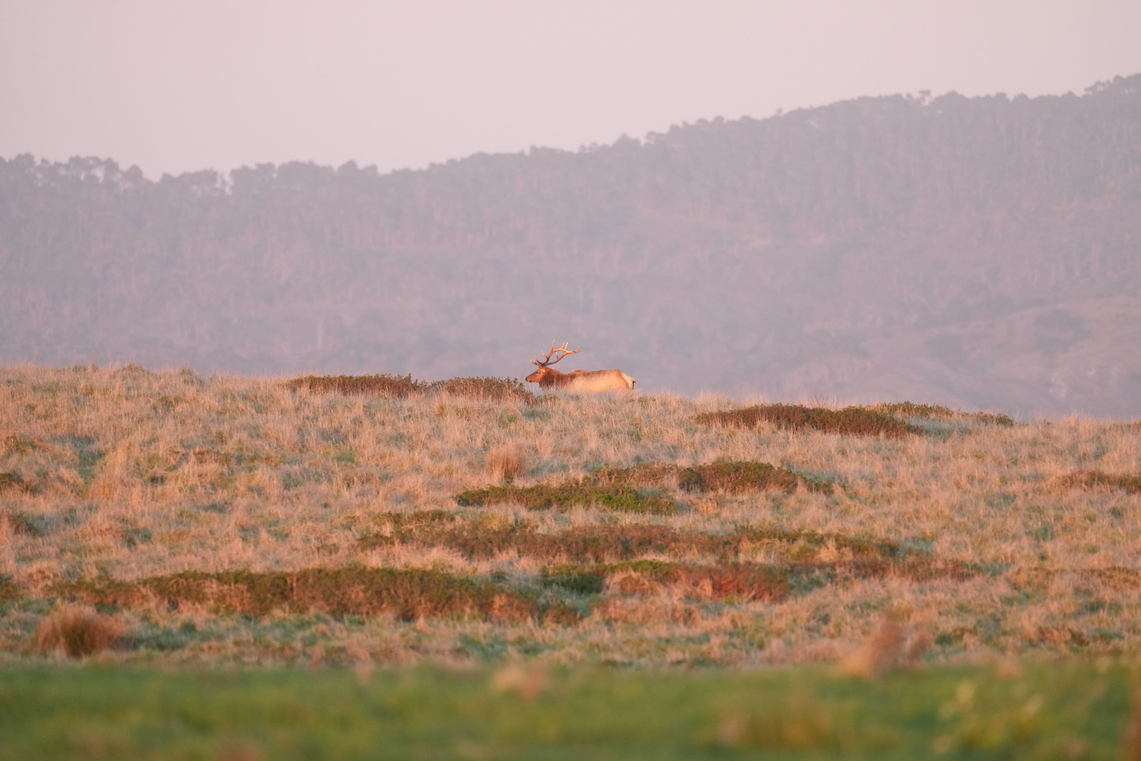 Point Reyes National Seashore - Historic Ranches