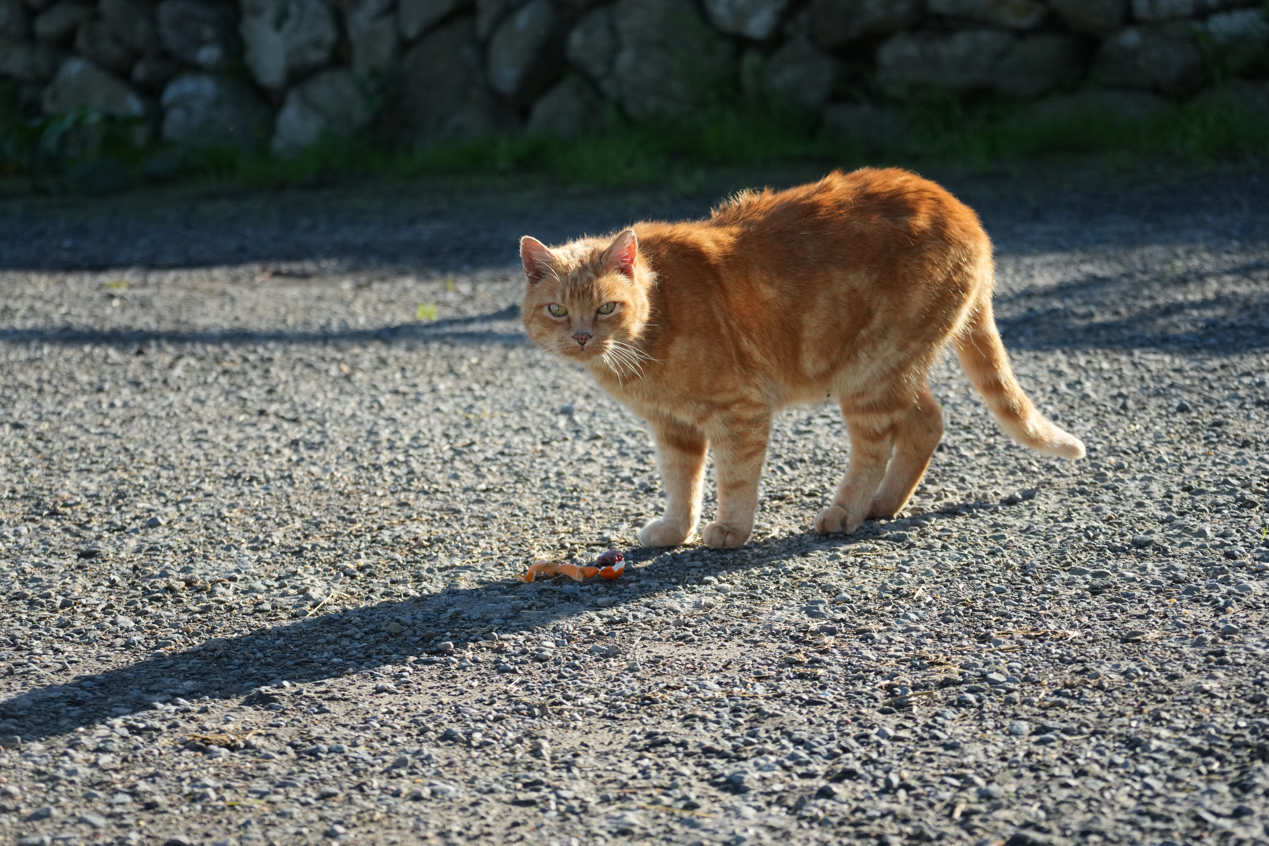 Point Reyes National Seashore - Historic Ranches