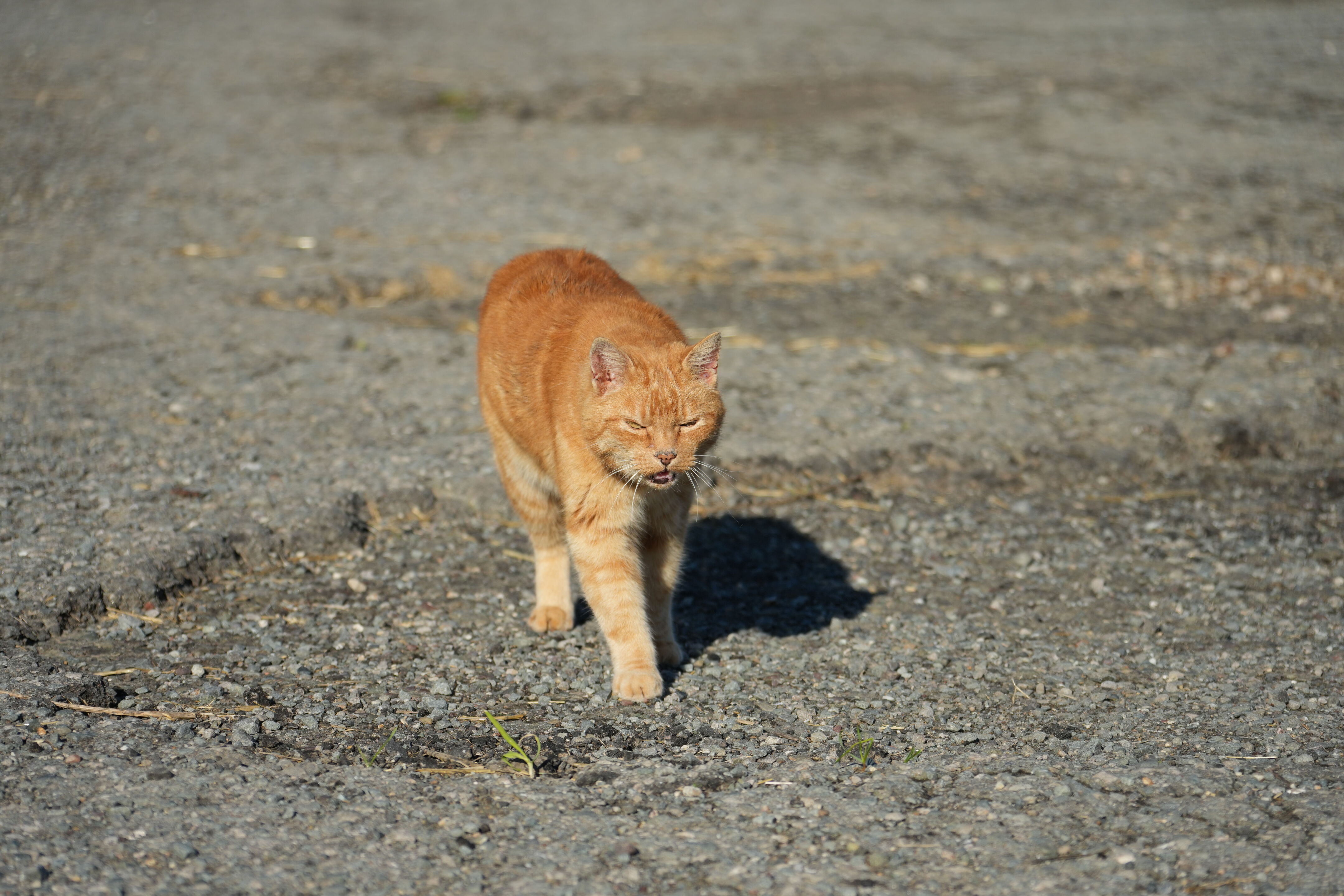 Point Reyes National Seashore - Historic Ranches