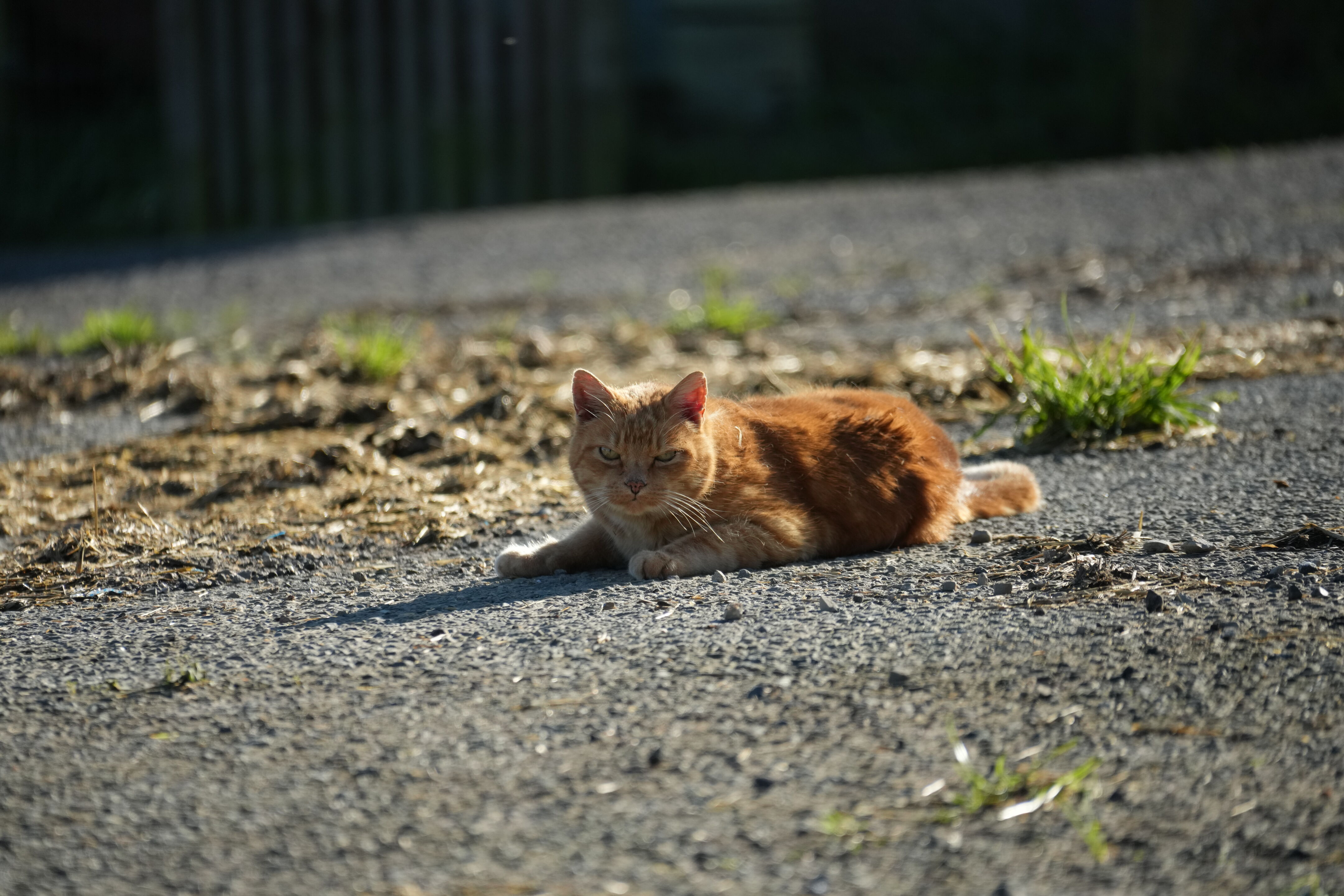 Point Reyes National Seashore - Historic Ranches