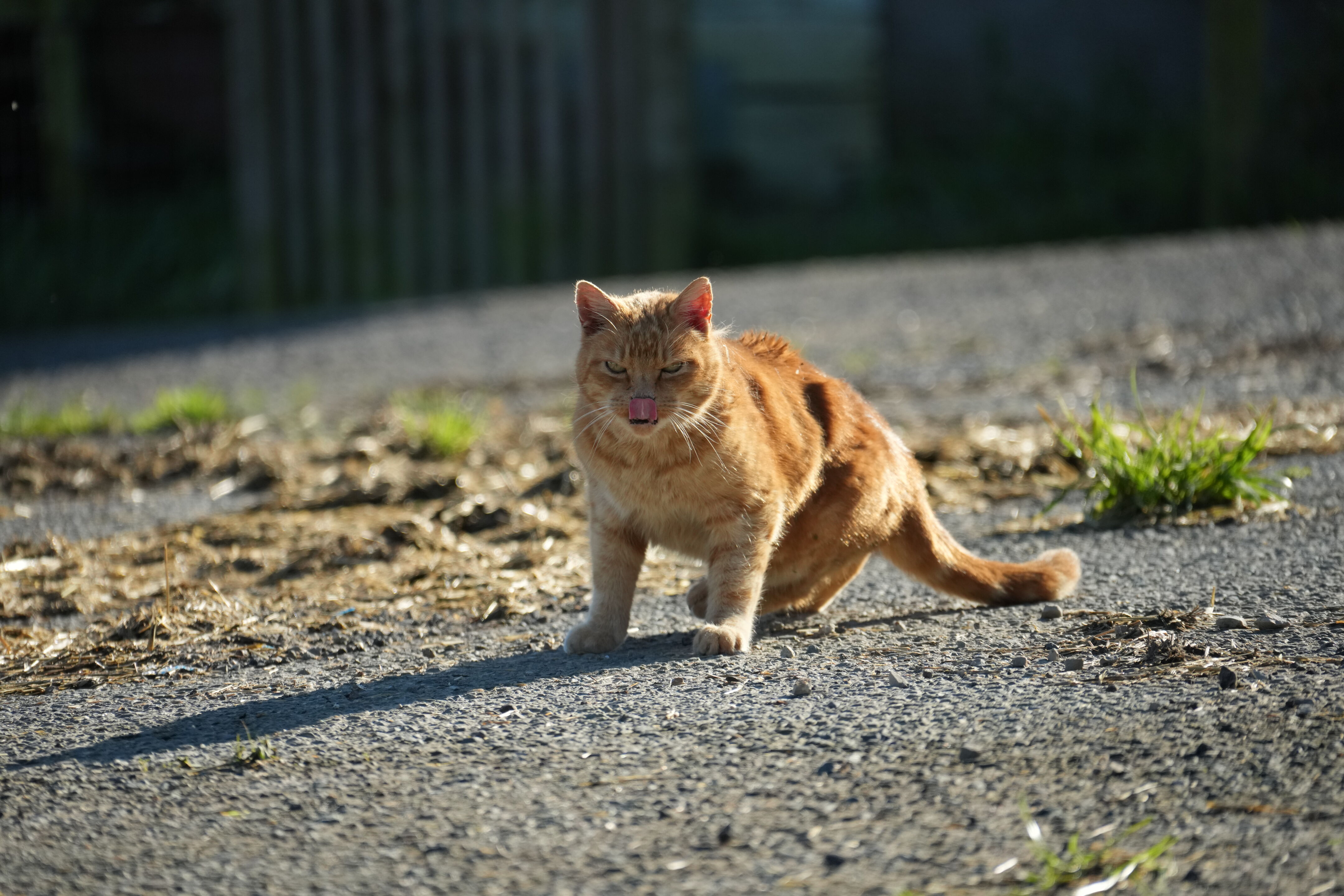 Point Reyes National Seashore - Historic Ranches