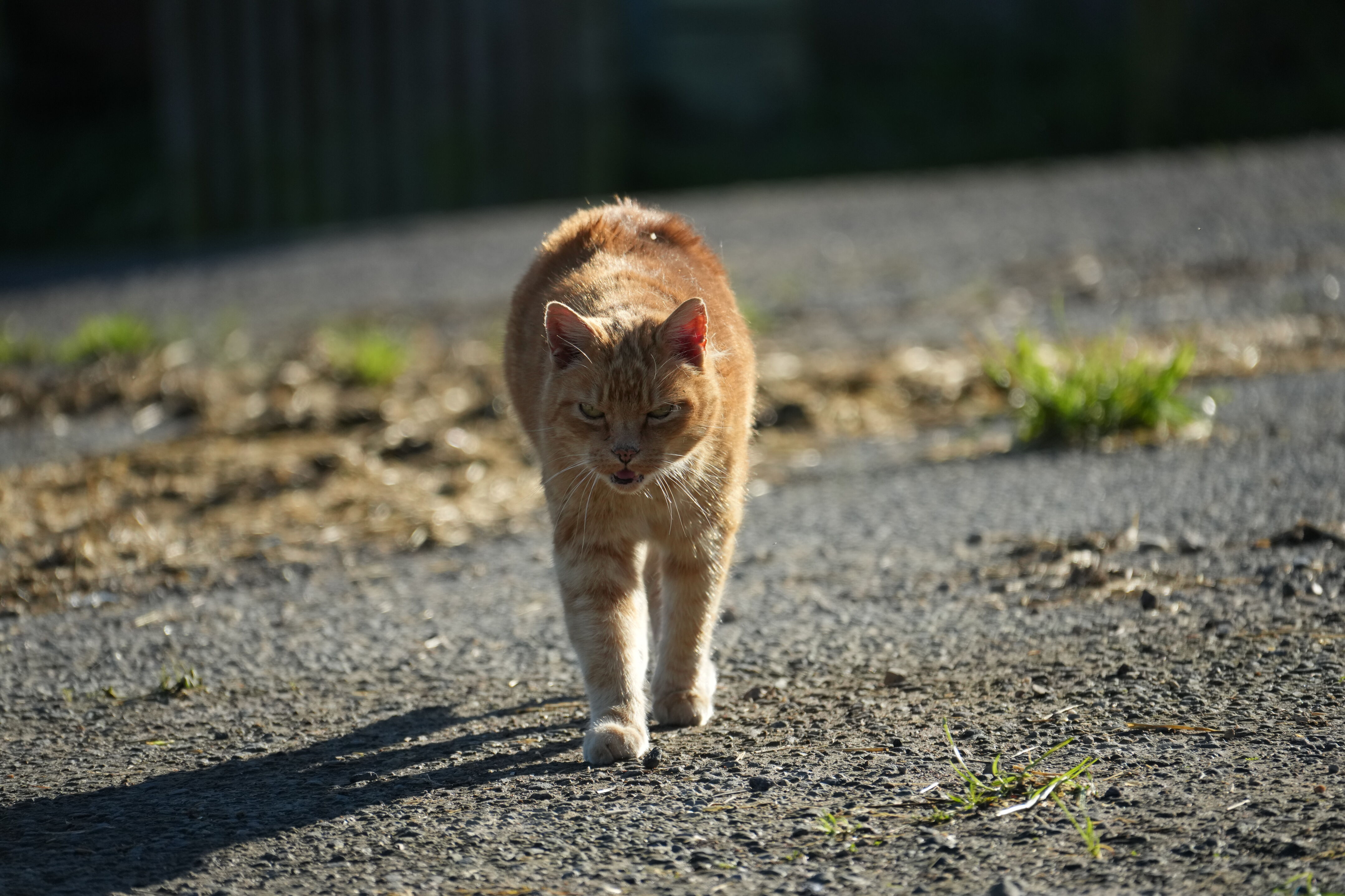 Point Reyes National Seashore - Historic Ranches