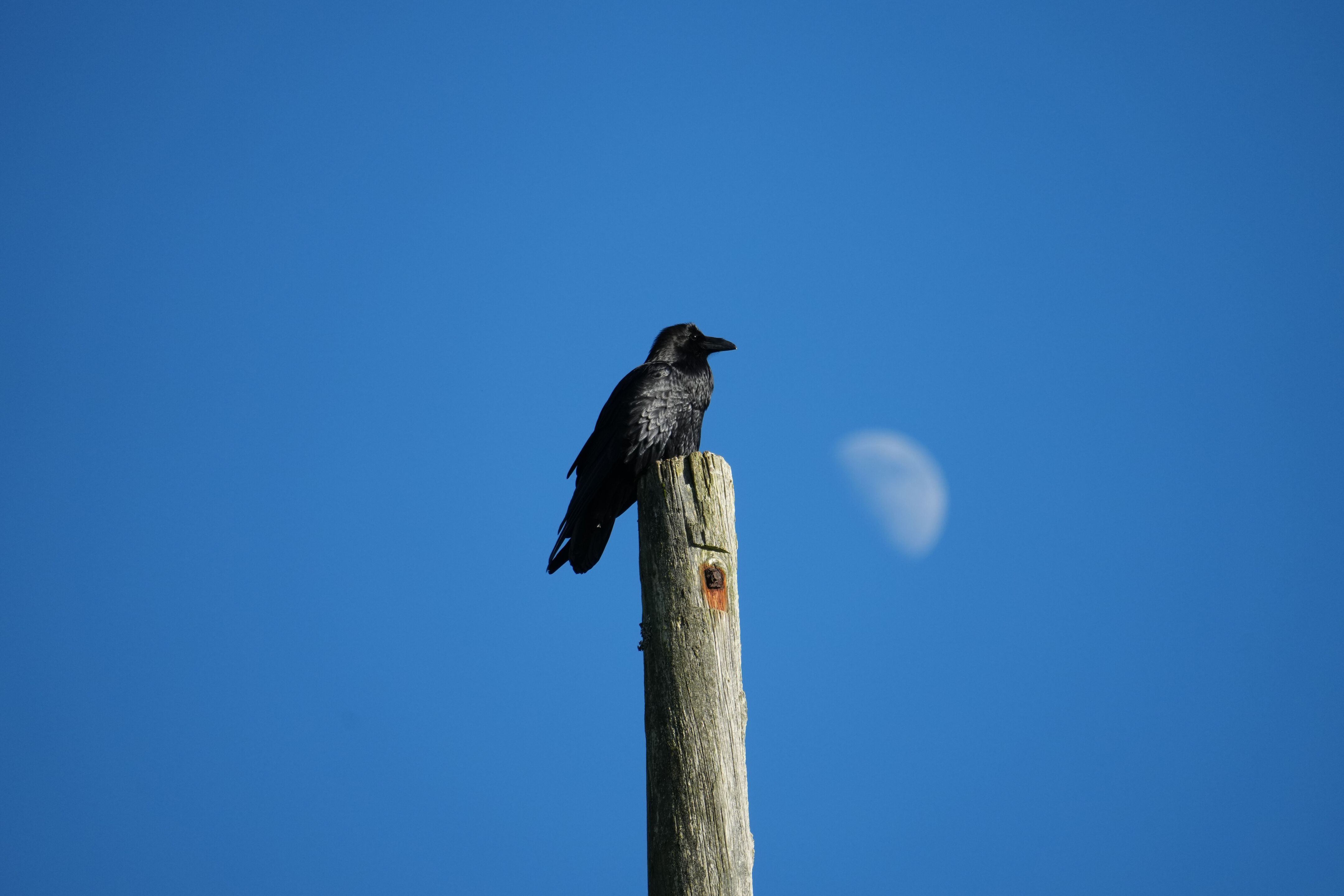 Point Reyes National Seashore - Point Reyes Lighthouse