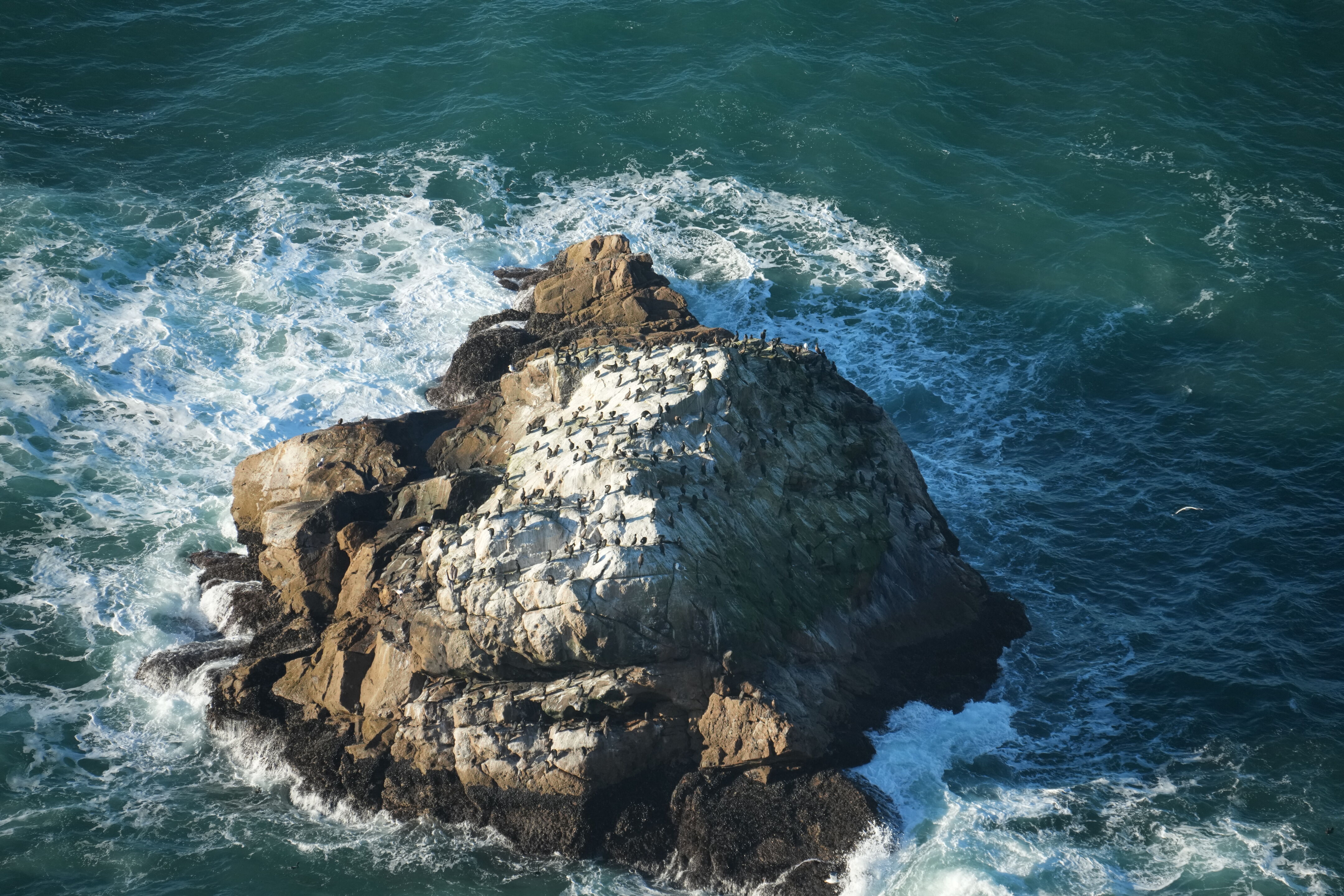 Point Reyes National Seashore - Point Reyes Lighthouse