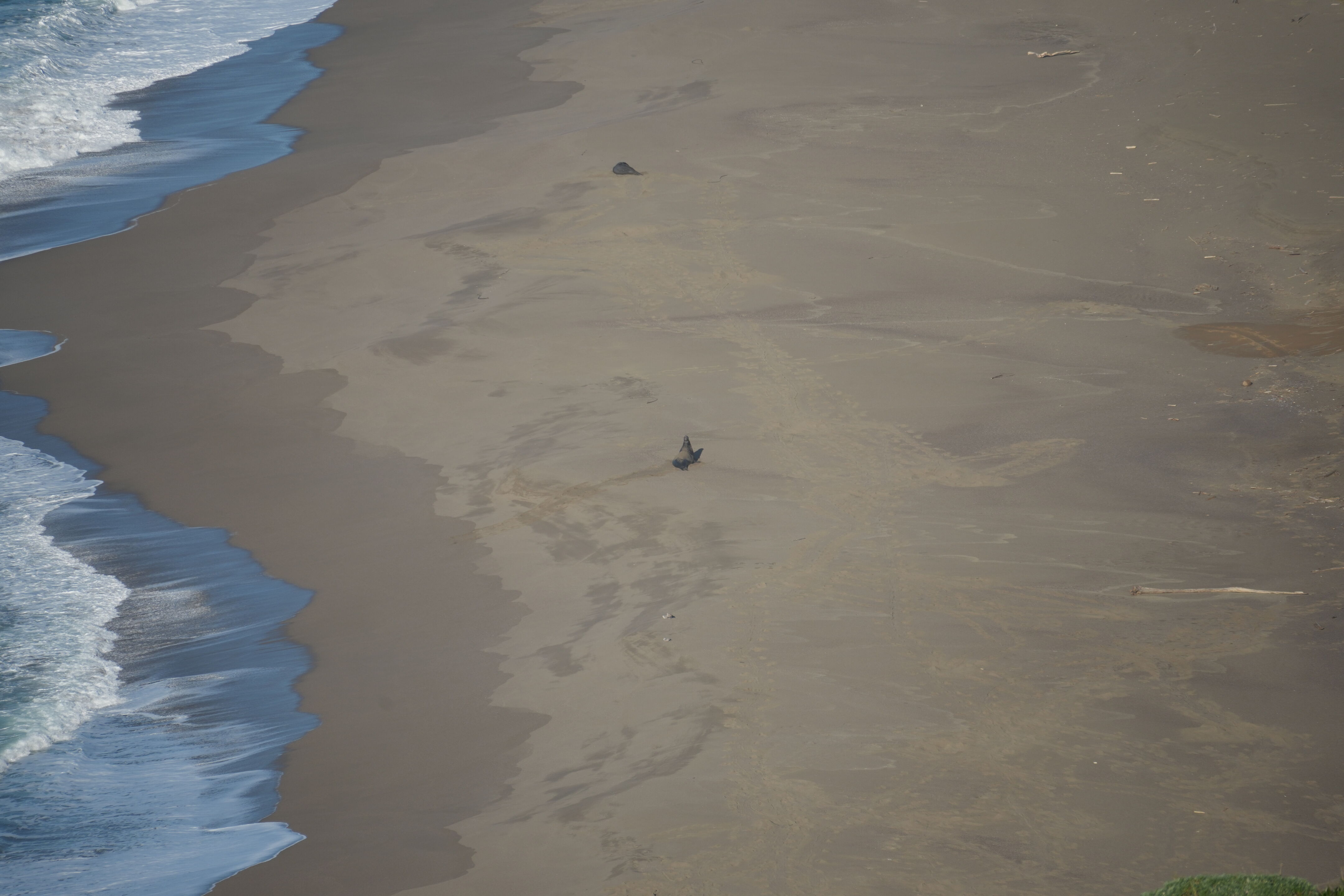 Point Reyes National Seashore - Point Reyes Lighthouse