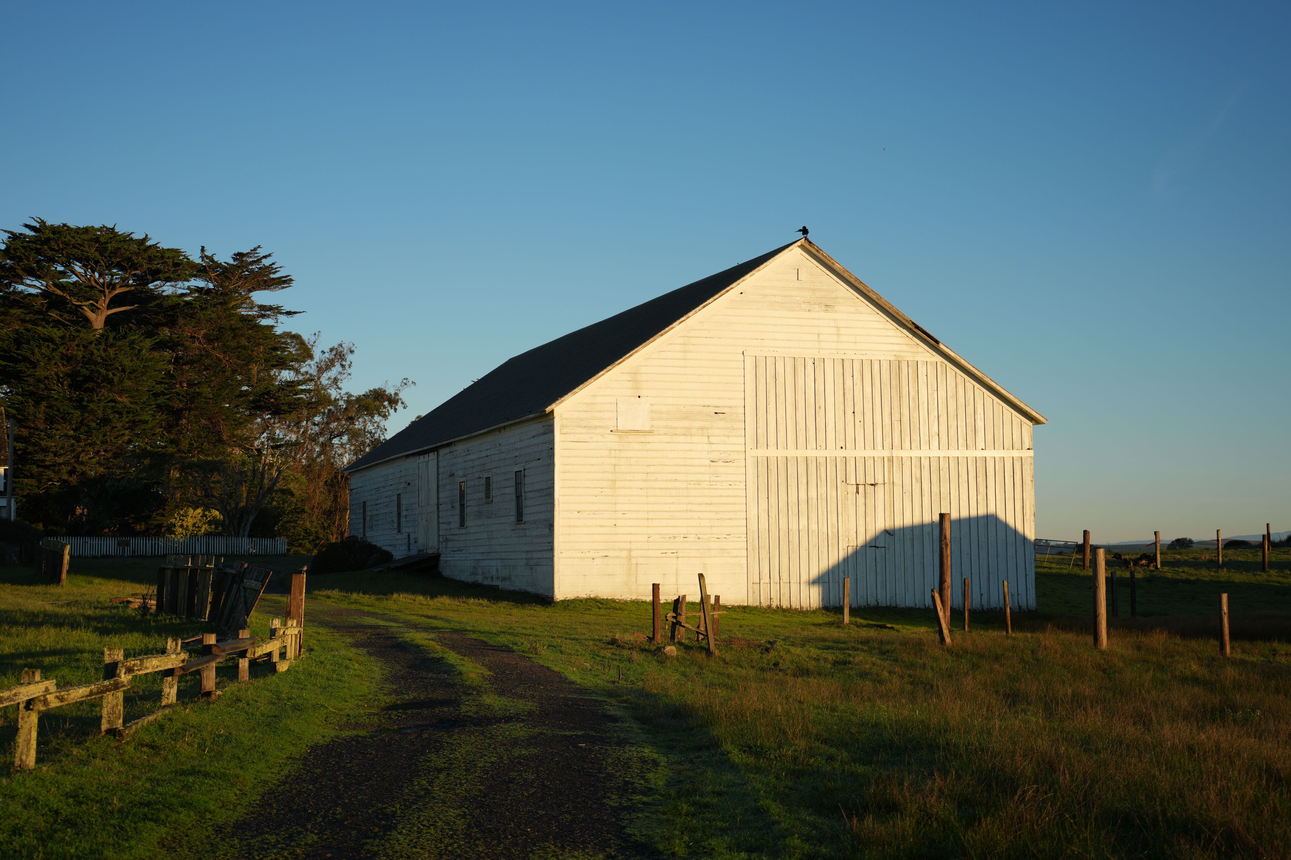 Point Reyes National Seashore - Tomales Point Trail