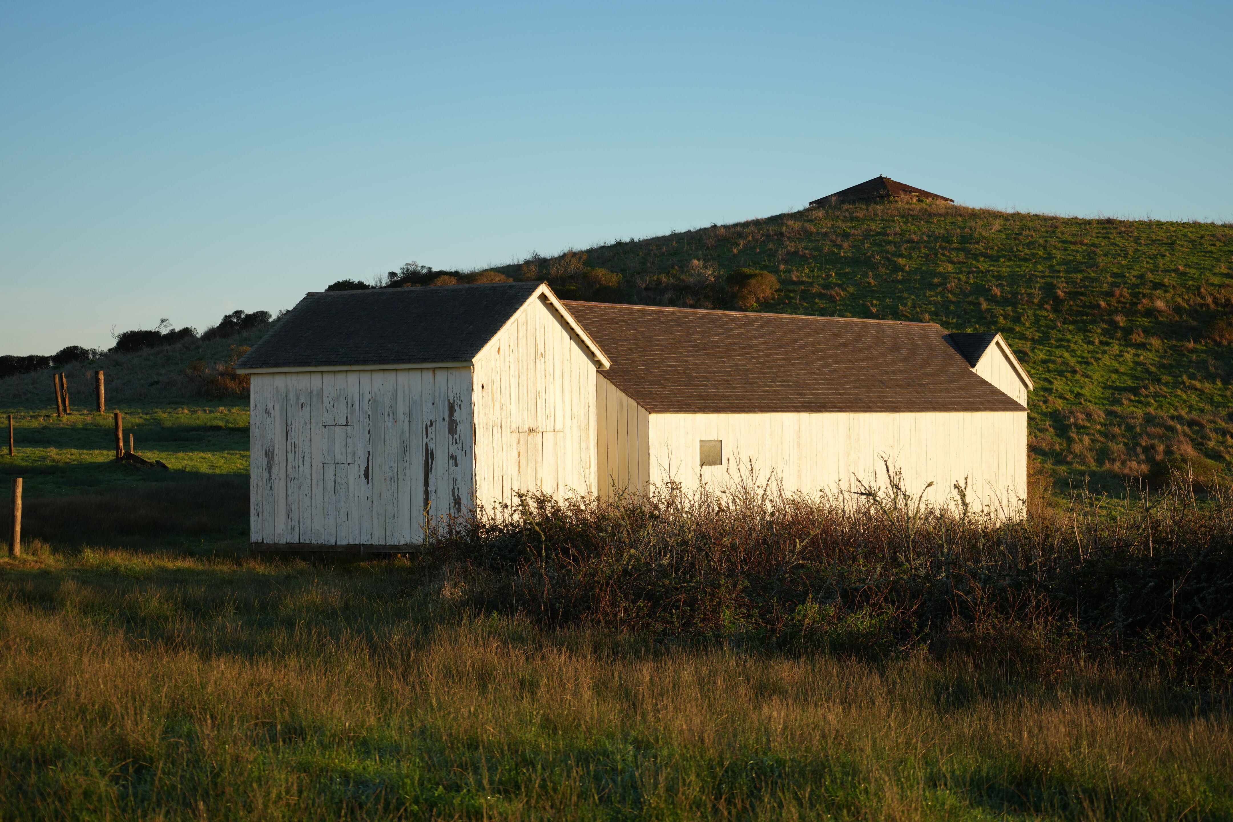 Point Reyes National Seashore - Tomales Point Trail