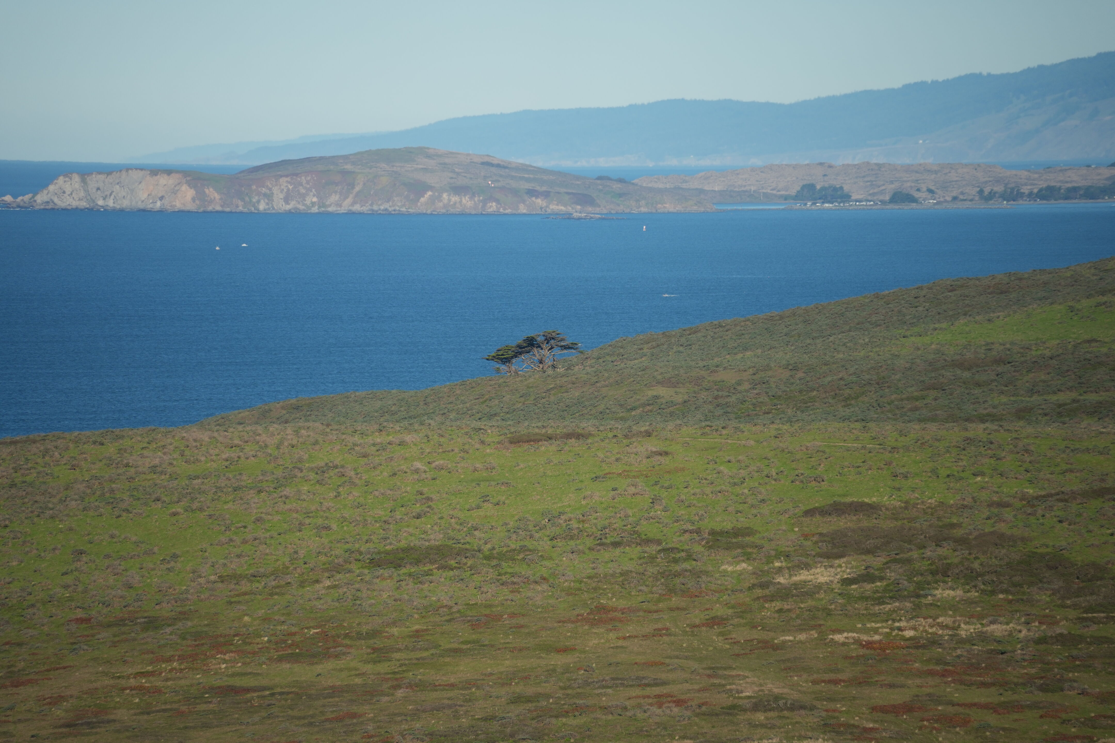 Point Reyes National Seashore - Tomales Point Trail
