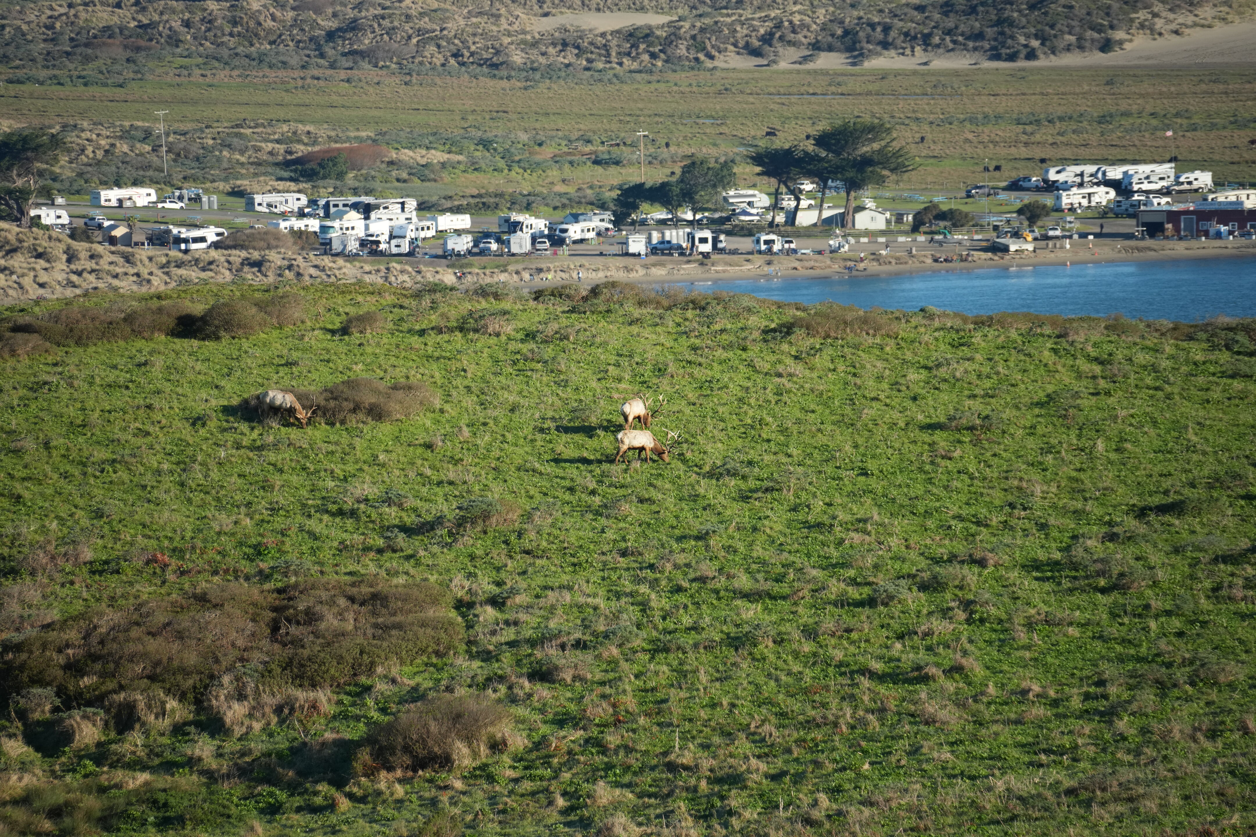 Point Reyes National Seashore - Tomales Point Trail