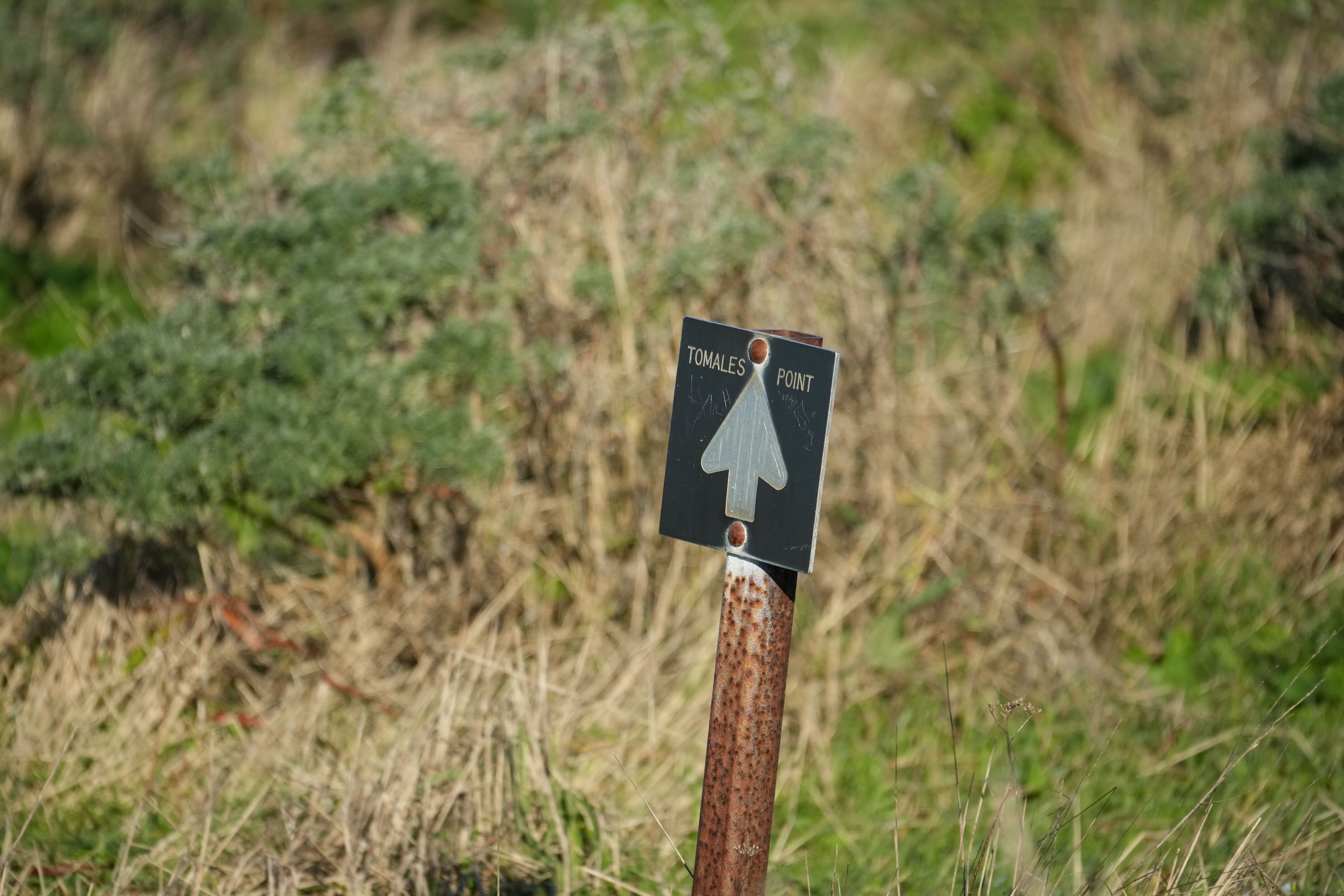Point Reyes National Seashore - Tomales Point Trail