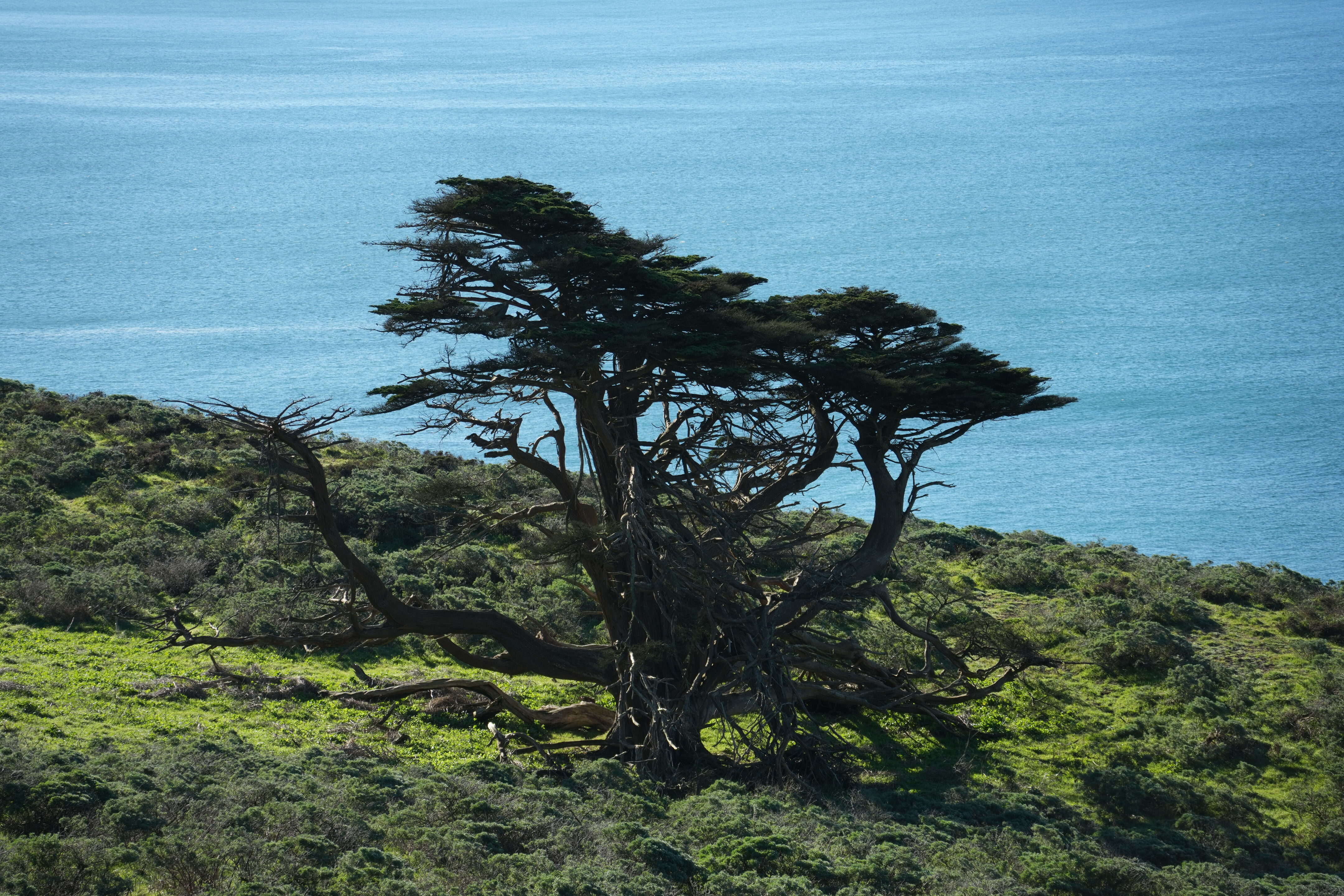Point Reyes National Seashore - Tomales Point Trail