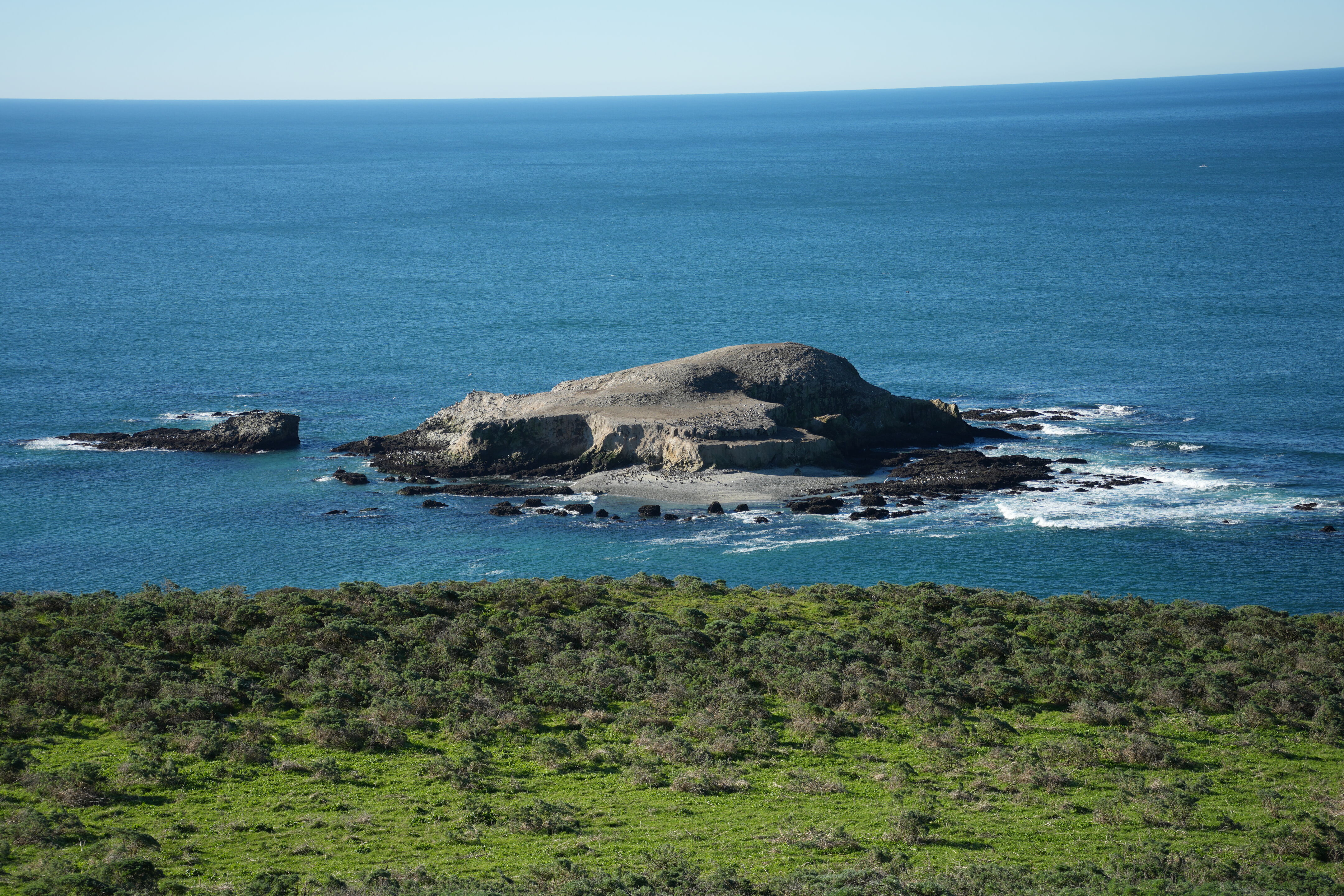 Point Reyes National Seashore - Tomales Point Trail
