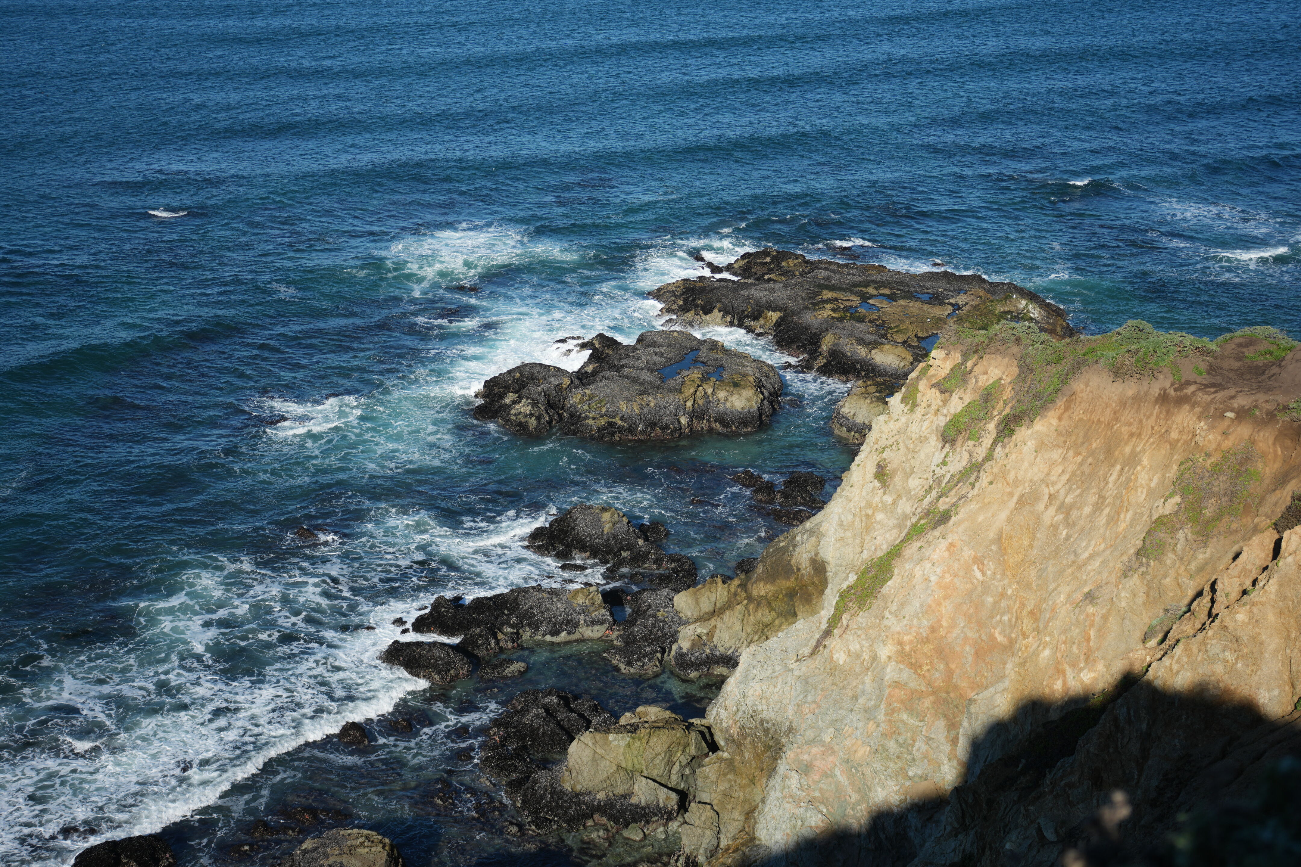 Point Reyes National Seashore - Tomales Point Trail