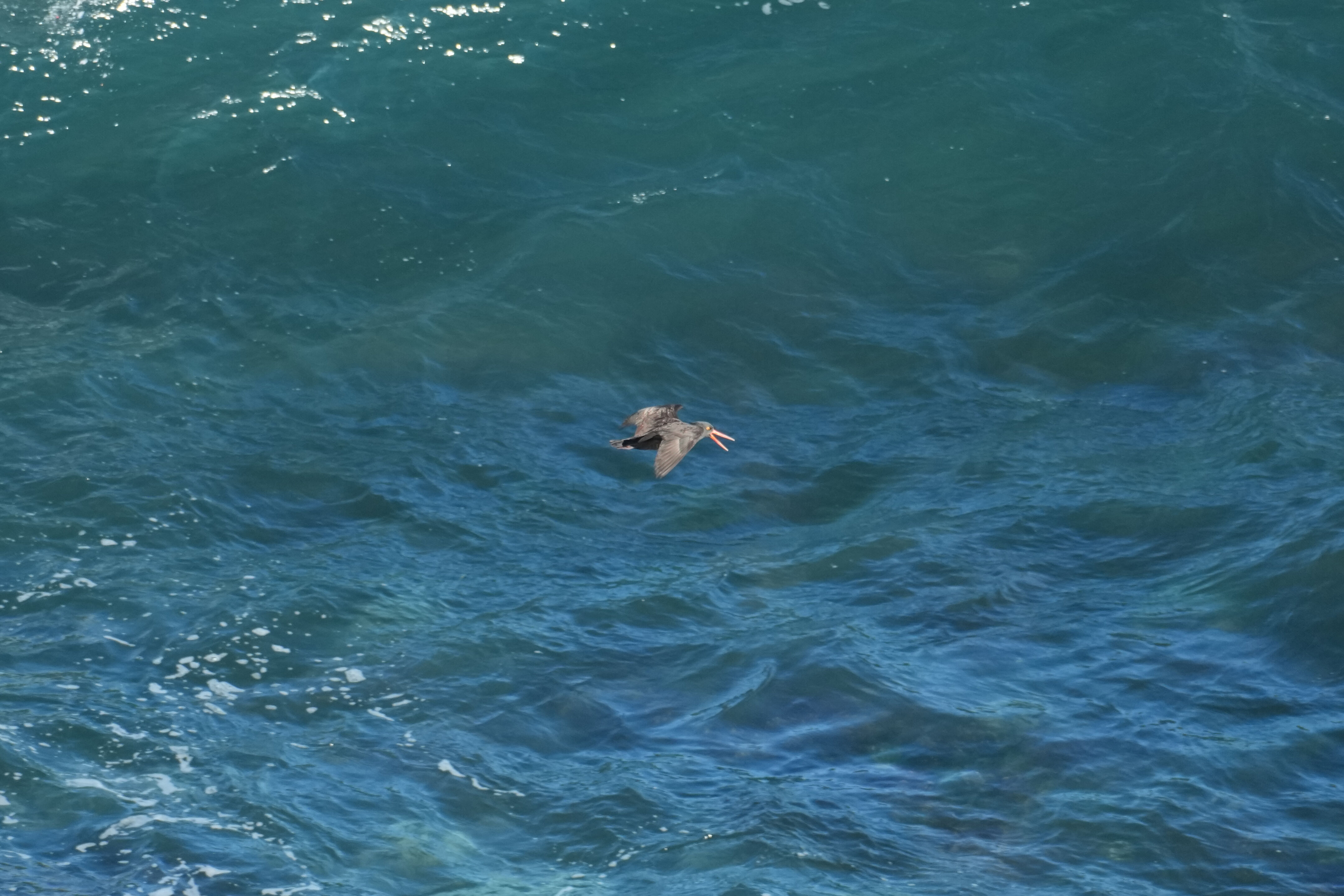 Point Reyes National Seashore - Tomales Point Trail