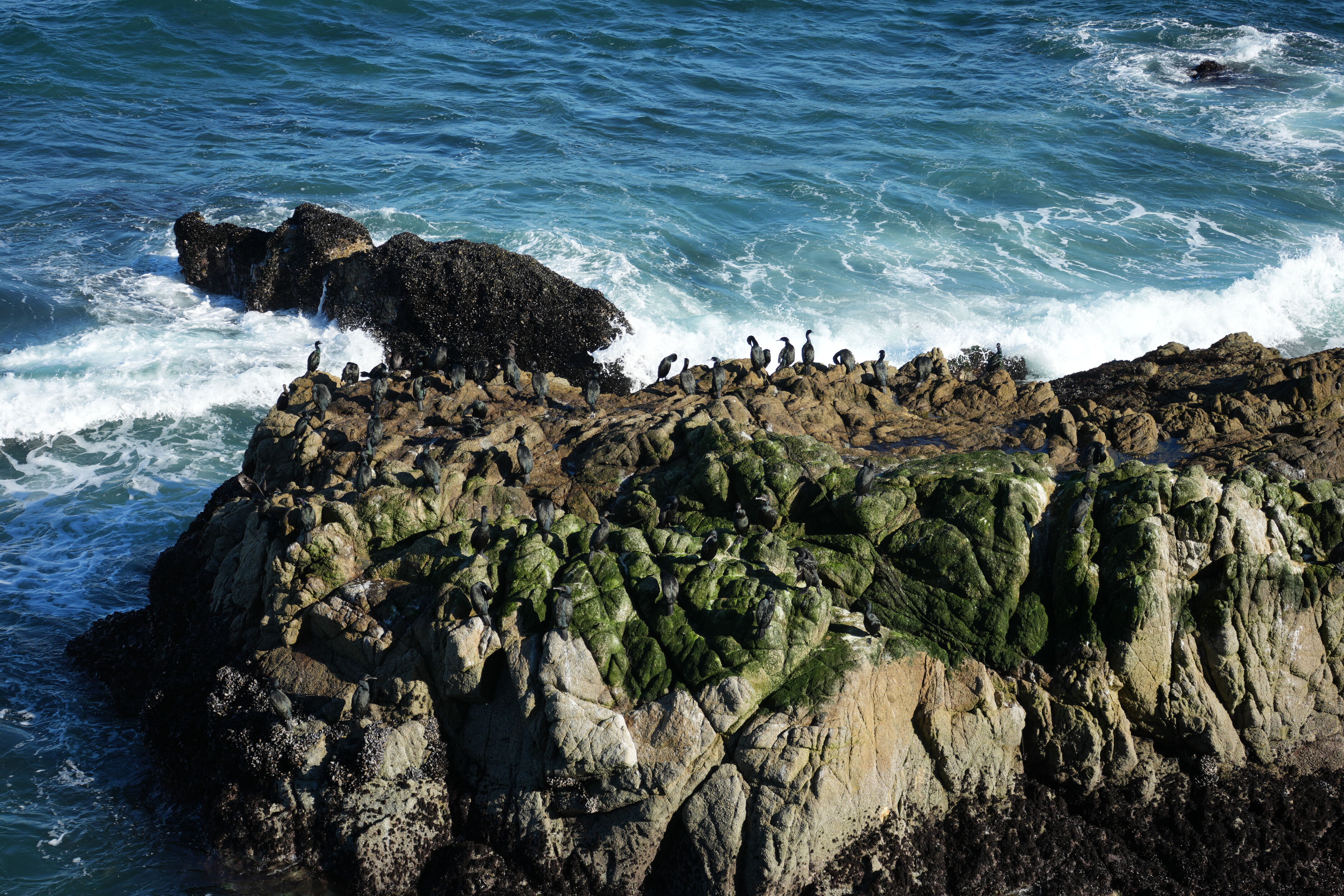 Point Reyes National Seashore - Tomales Point Trail