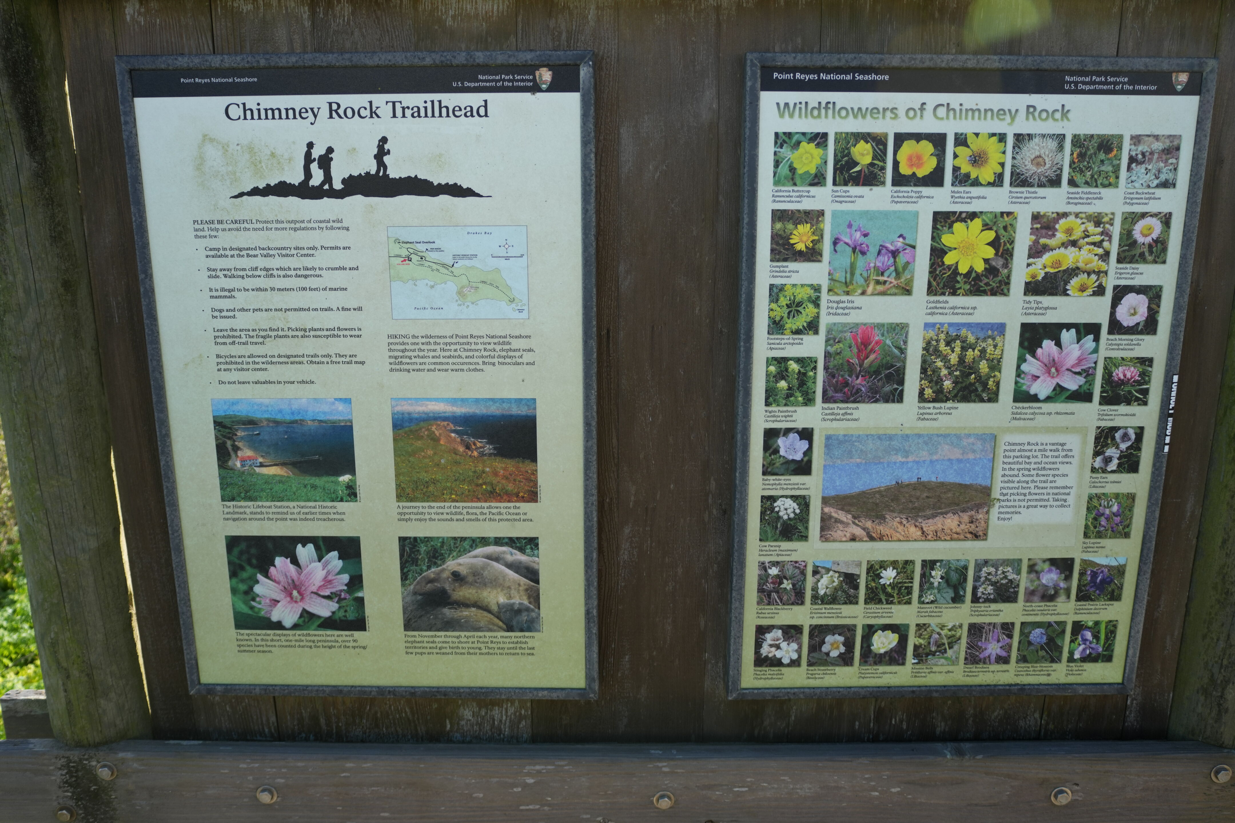 Point Reyes National Seashore - Chimney Rock