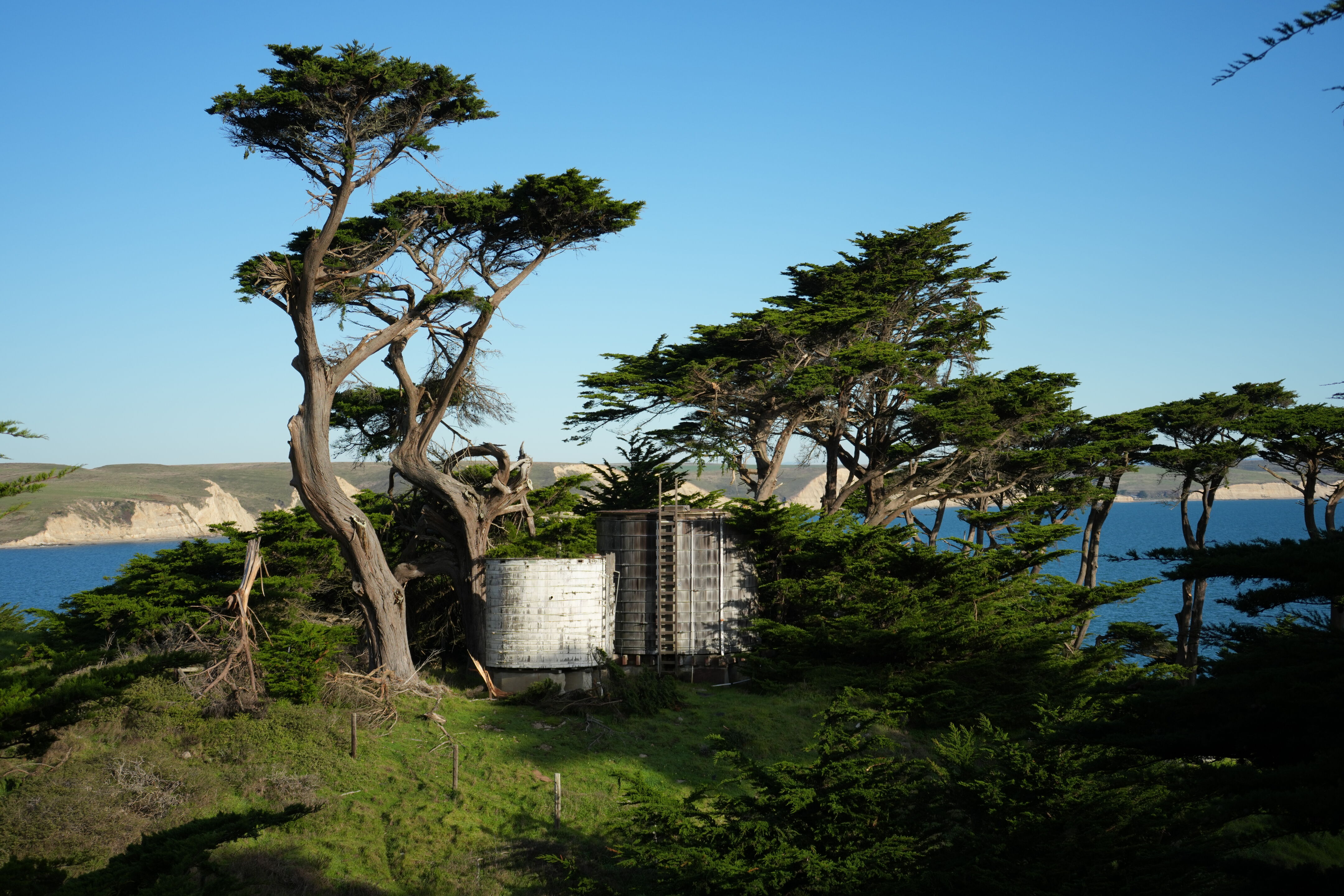 Point Reyes National Seashore - Chimney Rock
