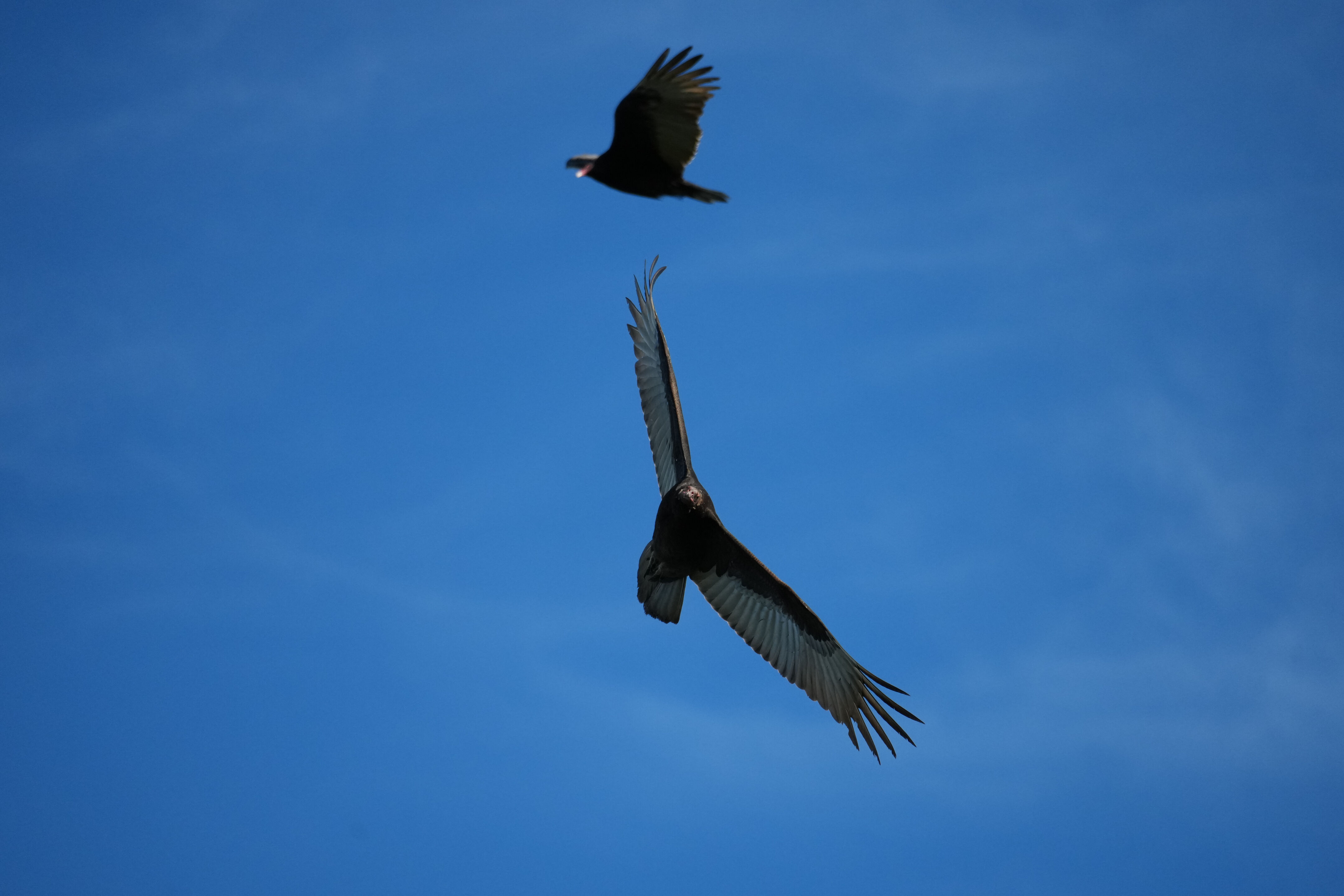 Point Reyes National Seashore - Chimney Rock