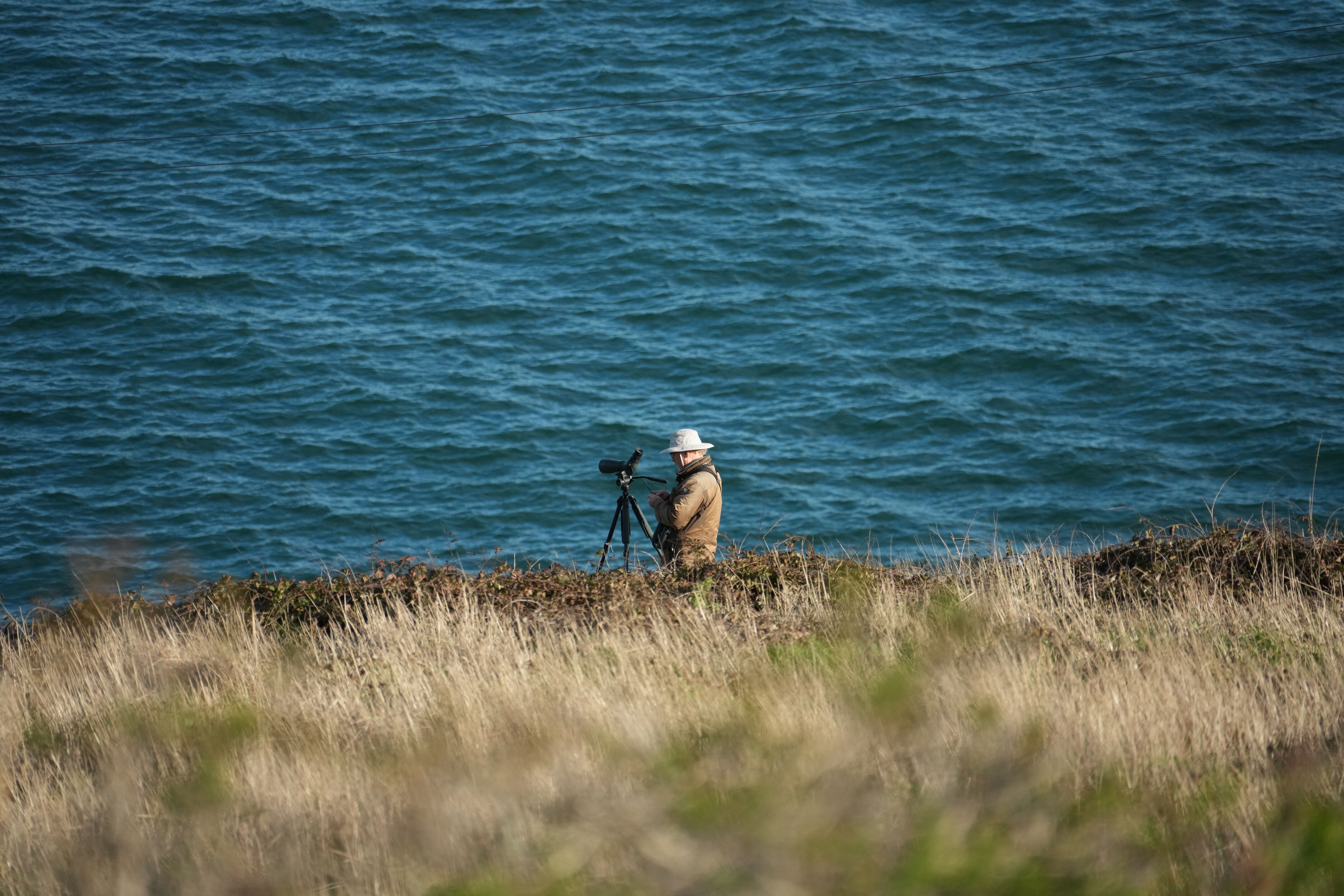Point Reyes National Seashore - Chimney Rock
