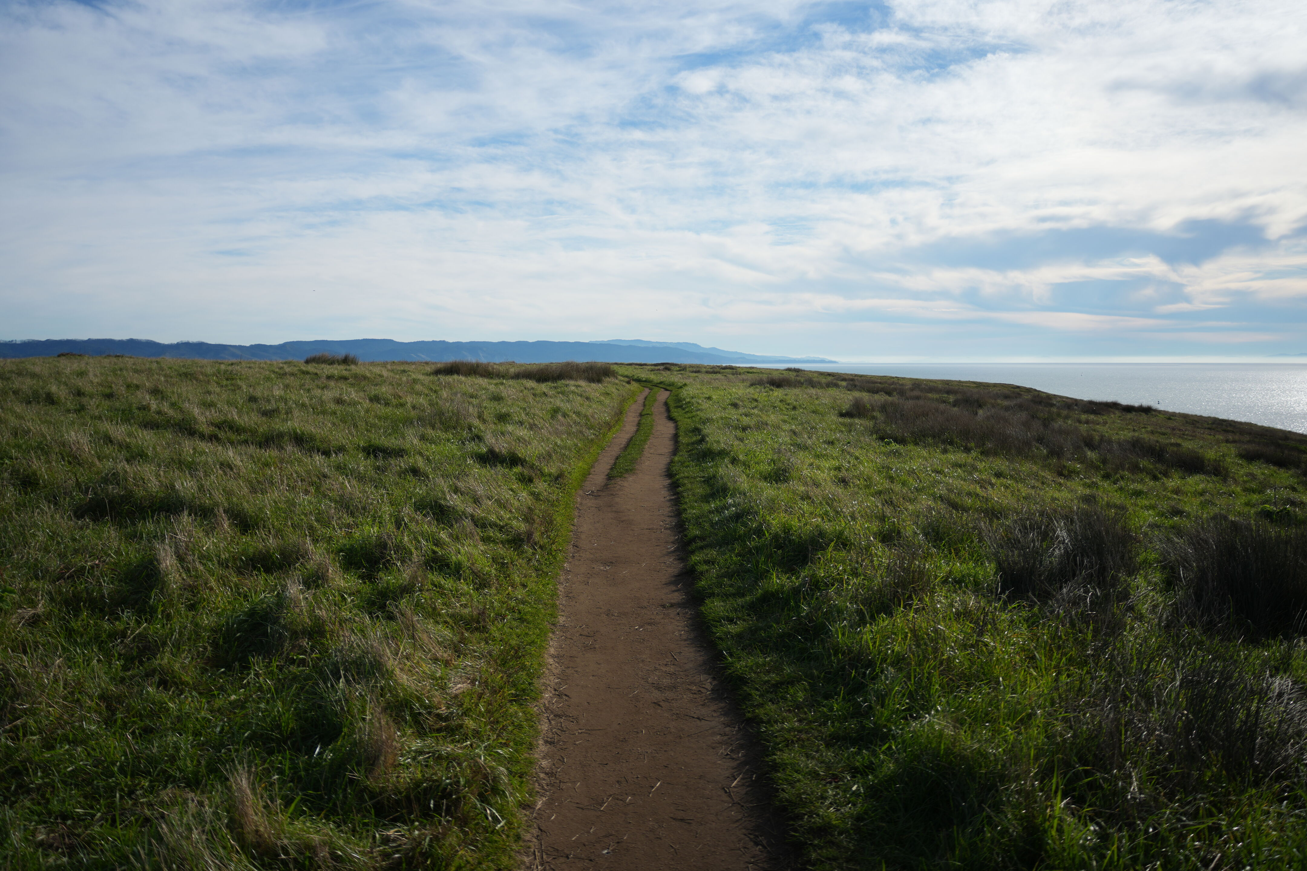 Point Reyes National Seashore - Chimney Rock