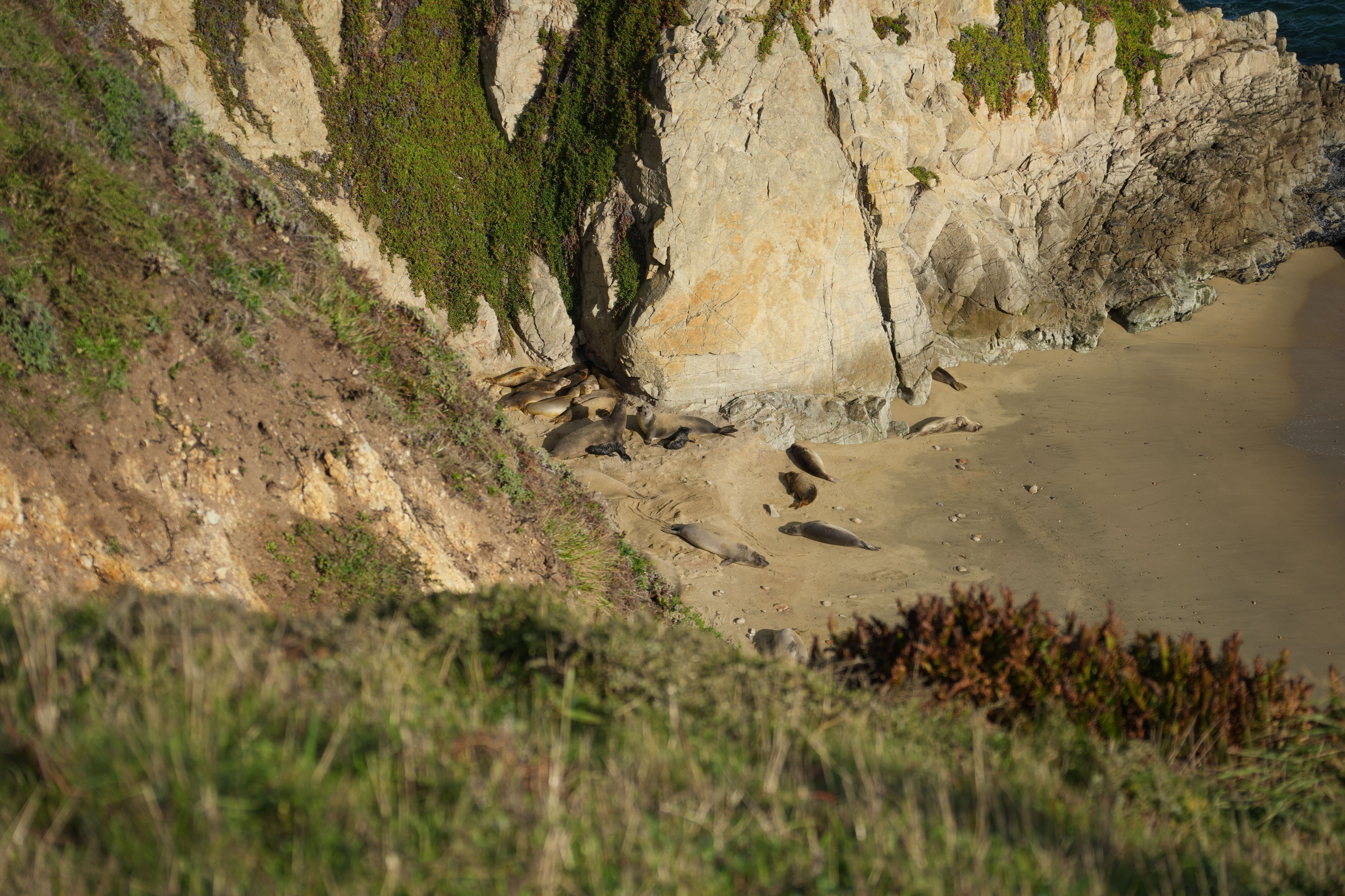 Point Reyes National Seashore - Chimney Rock
