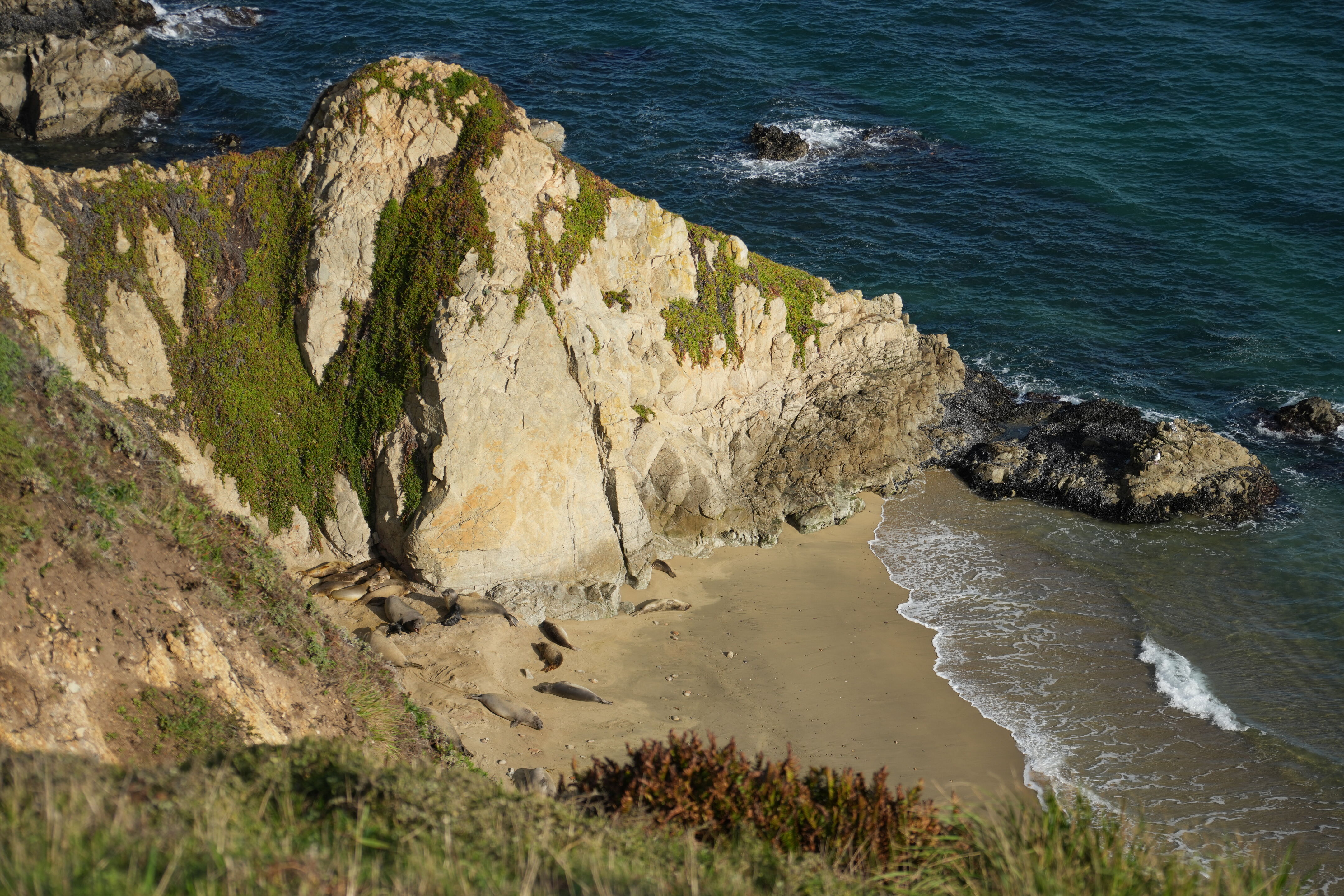 Point Reyes National Seashore - Chimney Rock