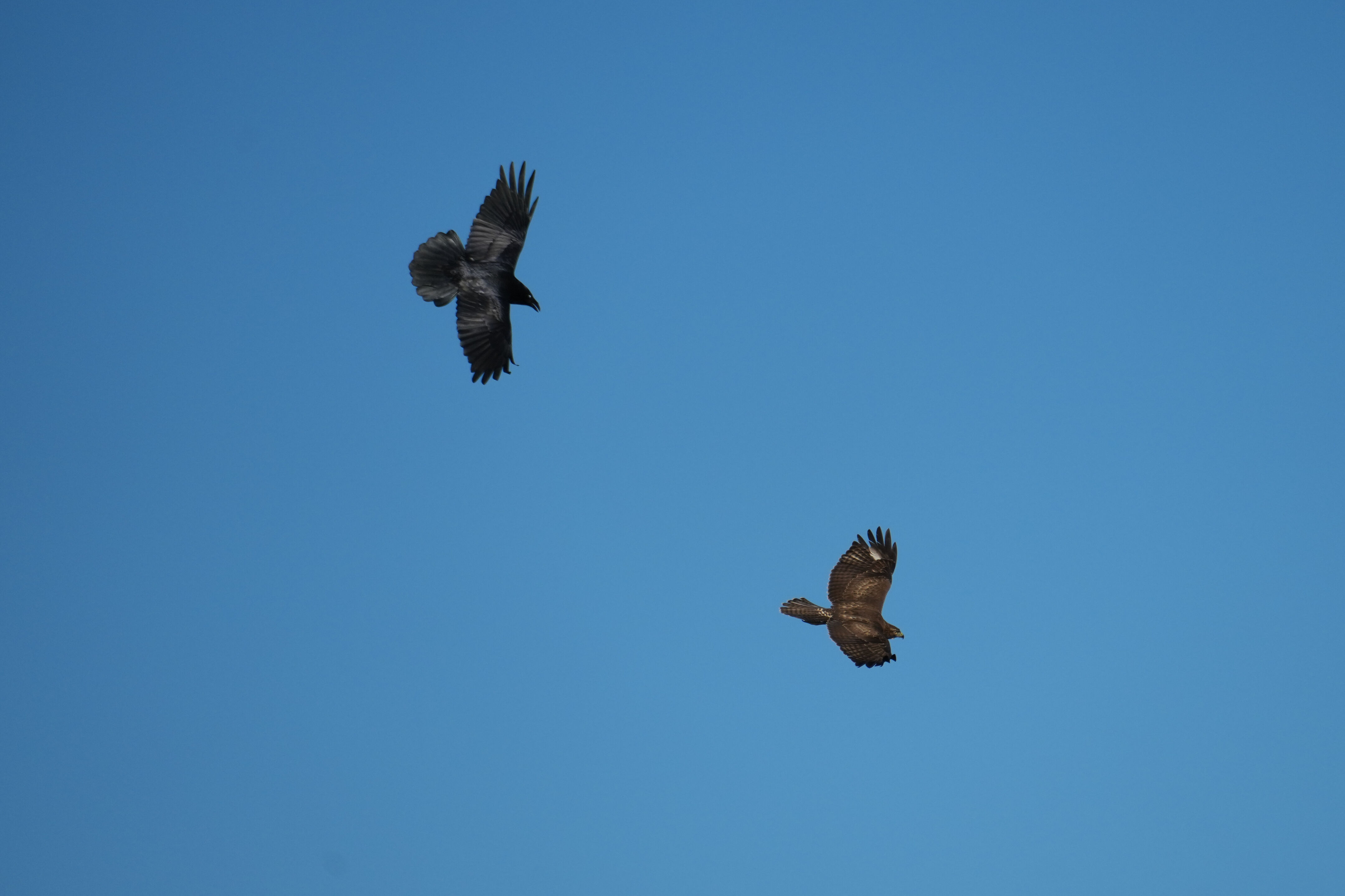 Point Reyes National Seashore - Chimney Rock