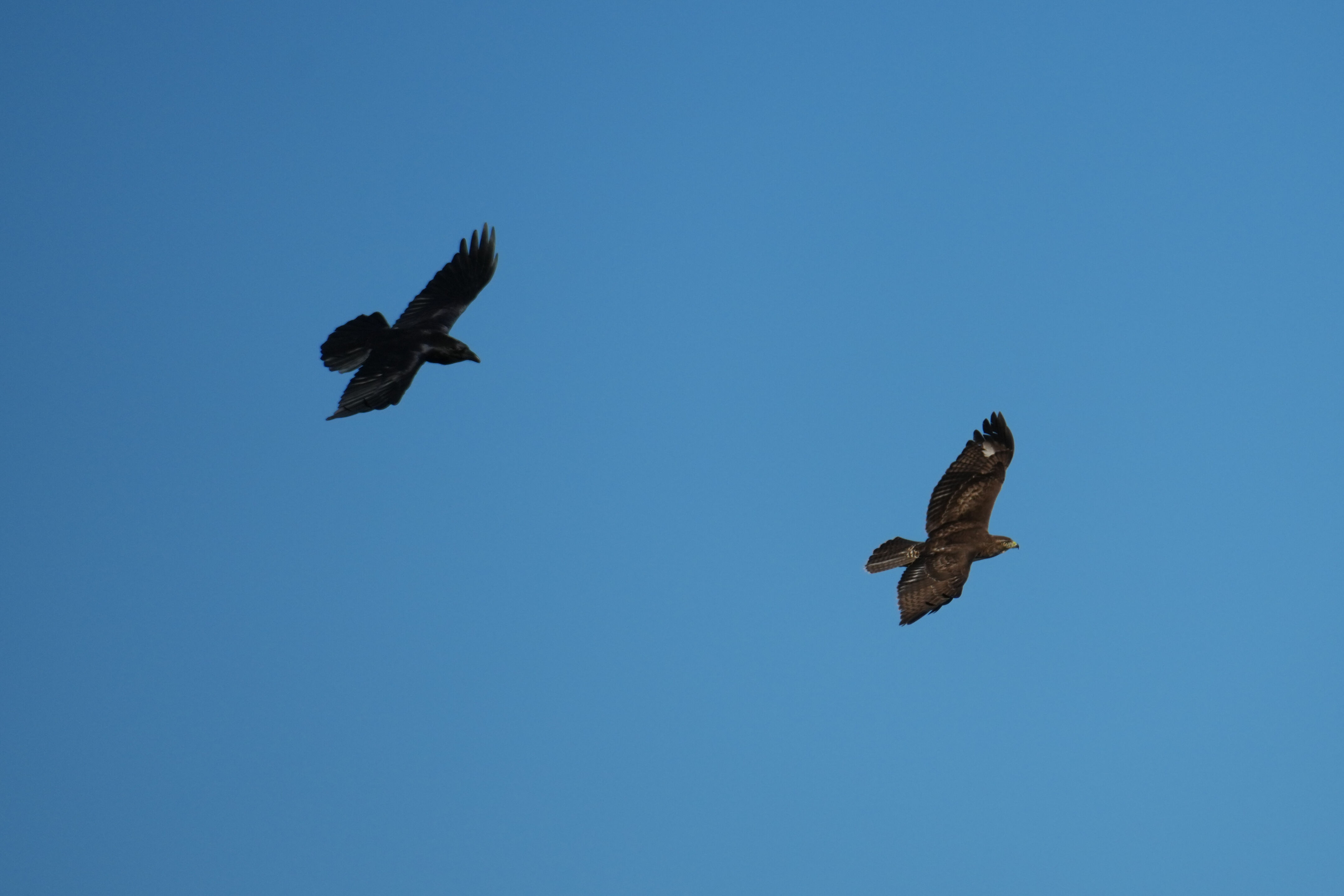 Point Reyes National Seashore - Chimney Rock