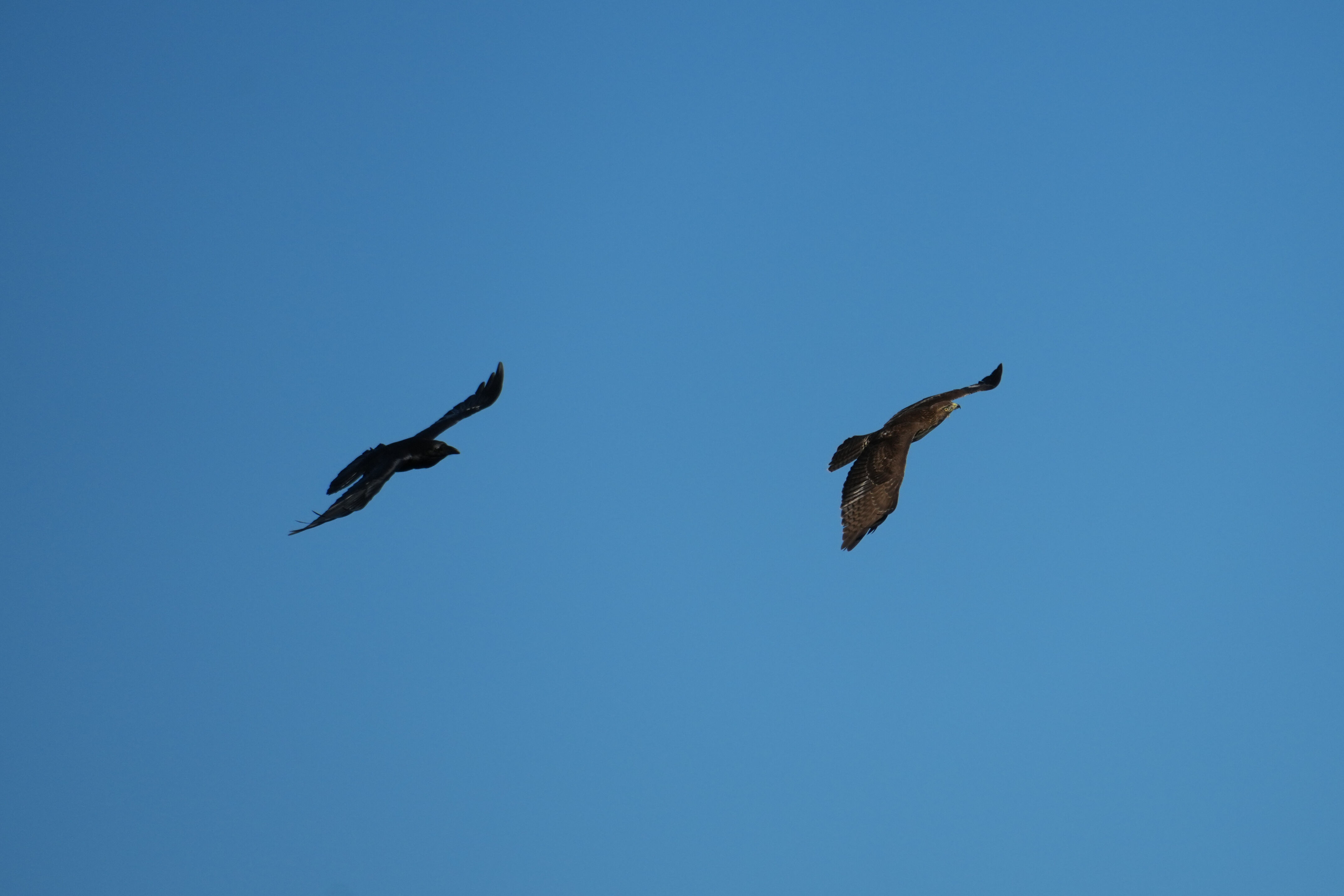 Point Reyes National Seashore - Chimney Rock