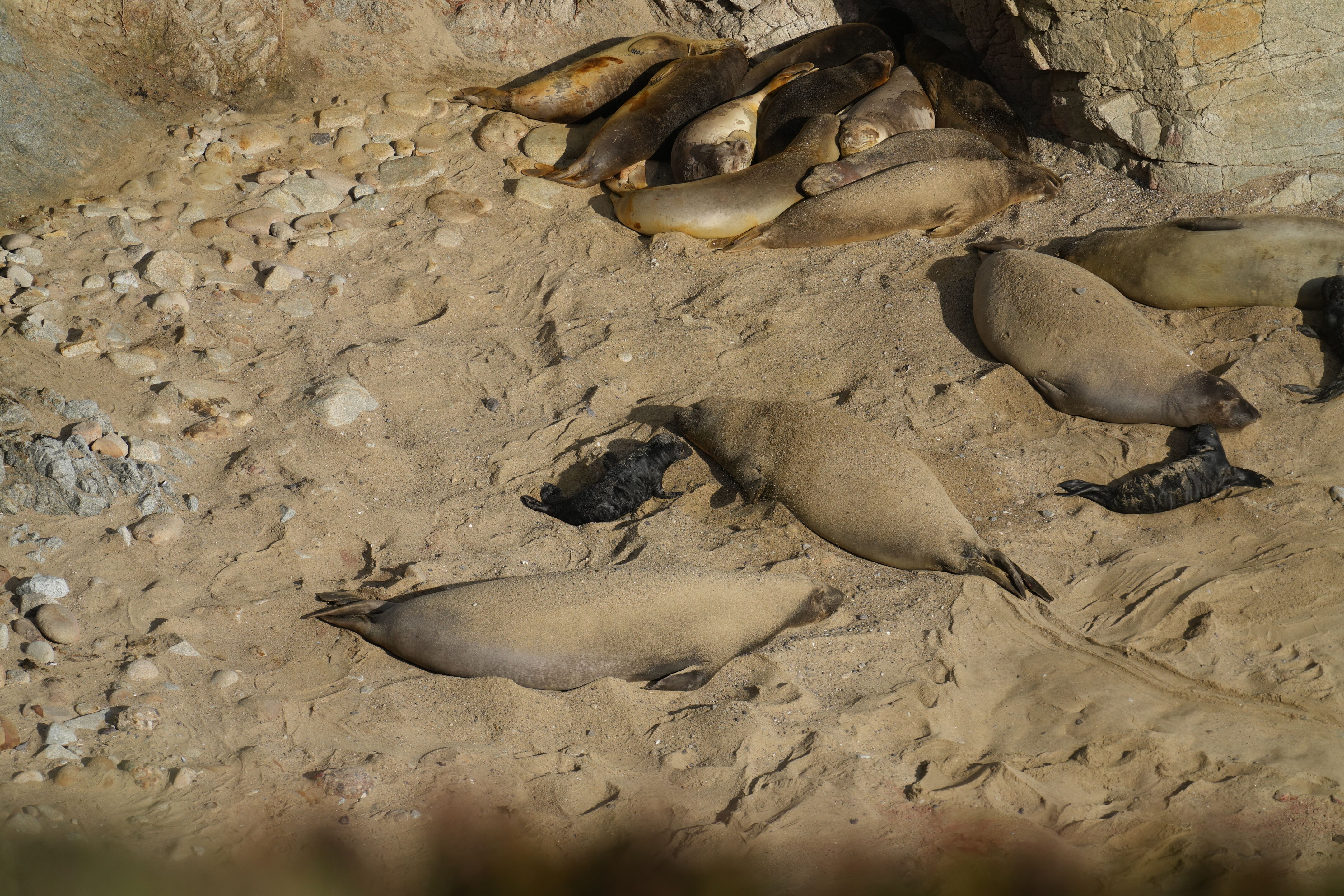 Point Reyes National Seashore - Chimney Rock