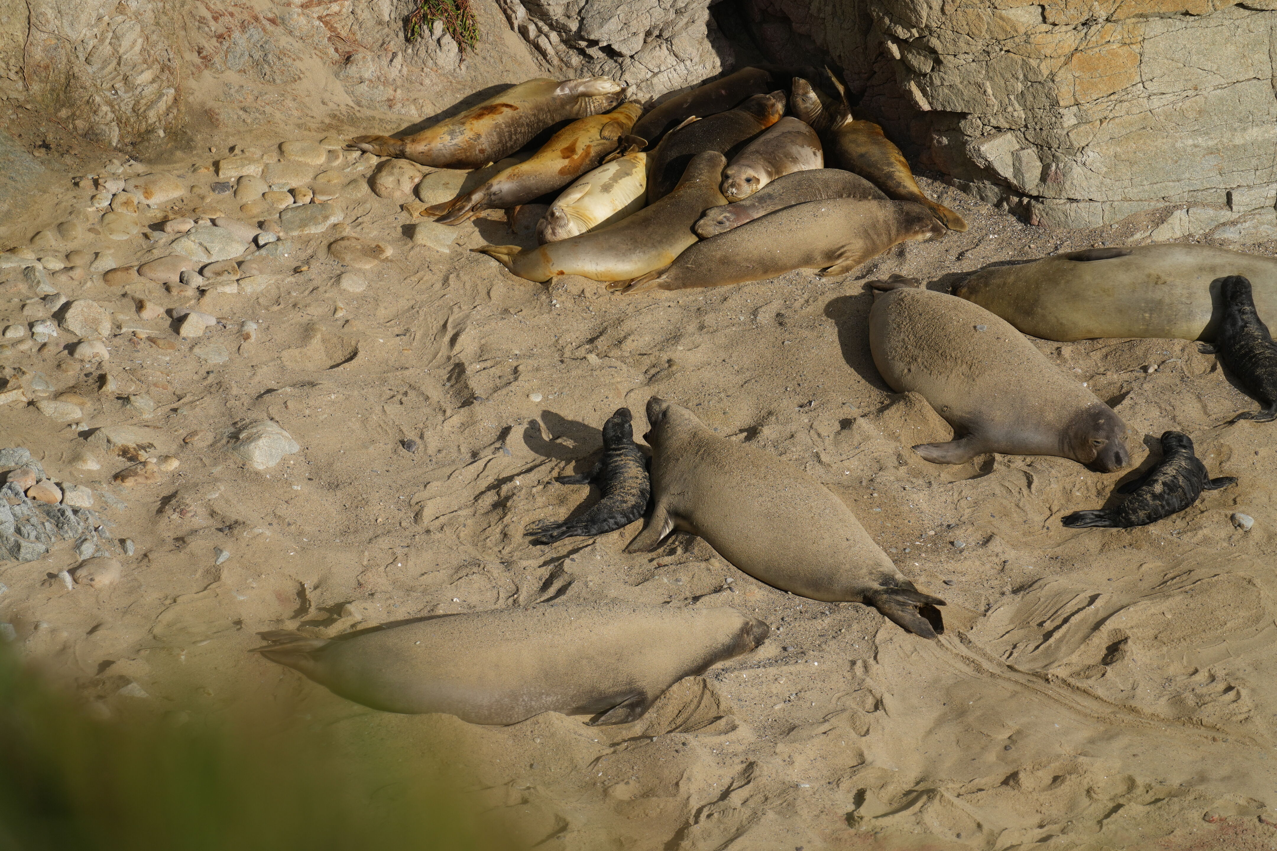 Point Reyes National Seashore - Chimney Rock