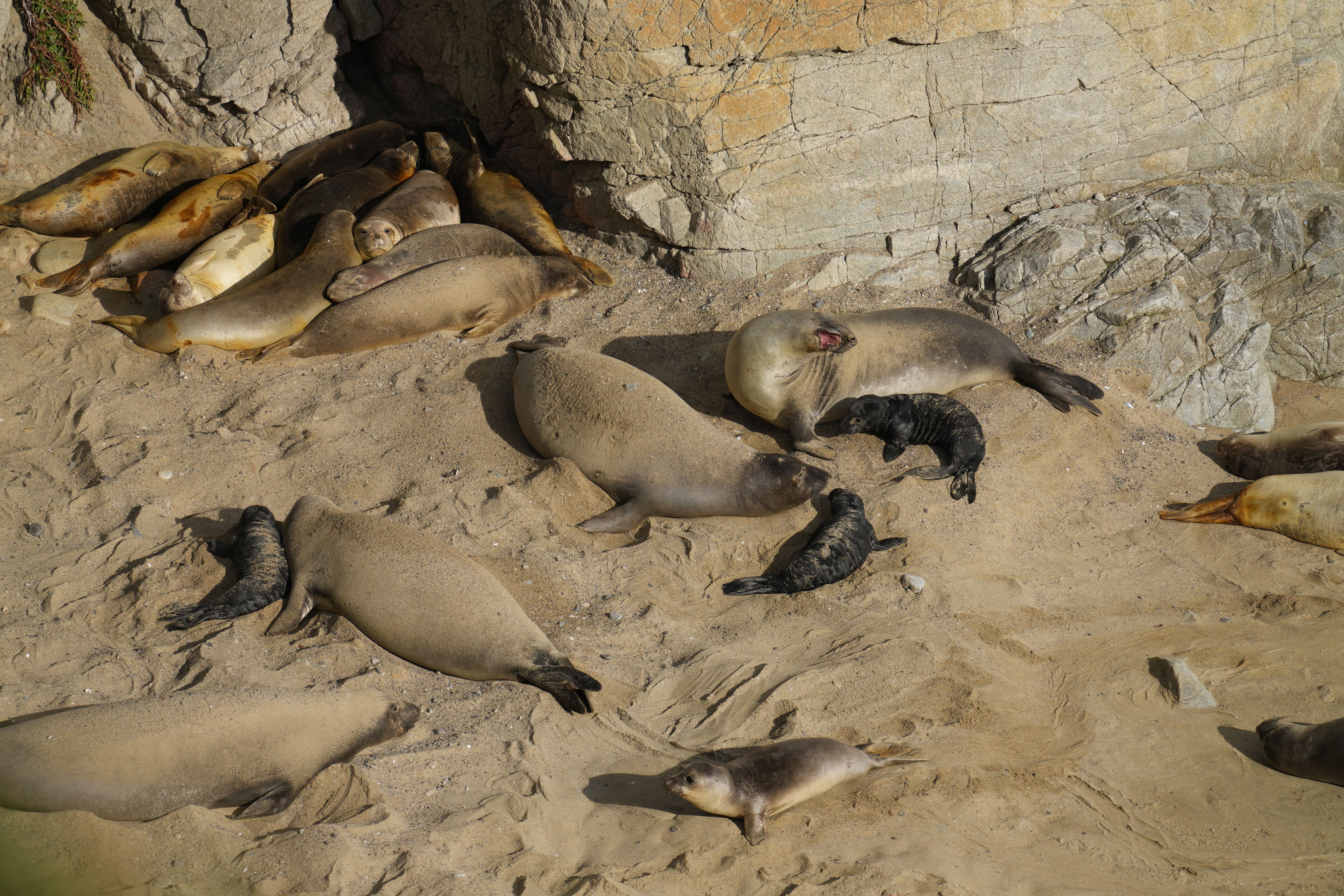 Point Reyes National Seashore - Chimney Rock