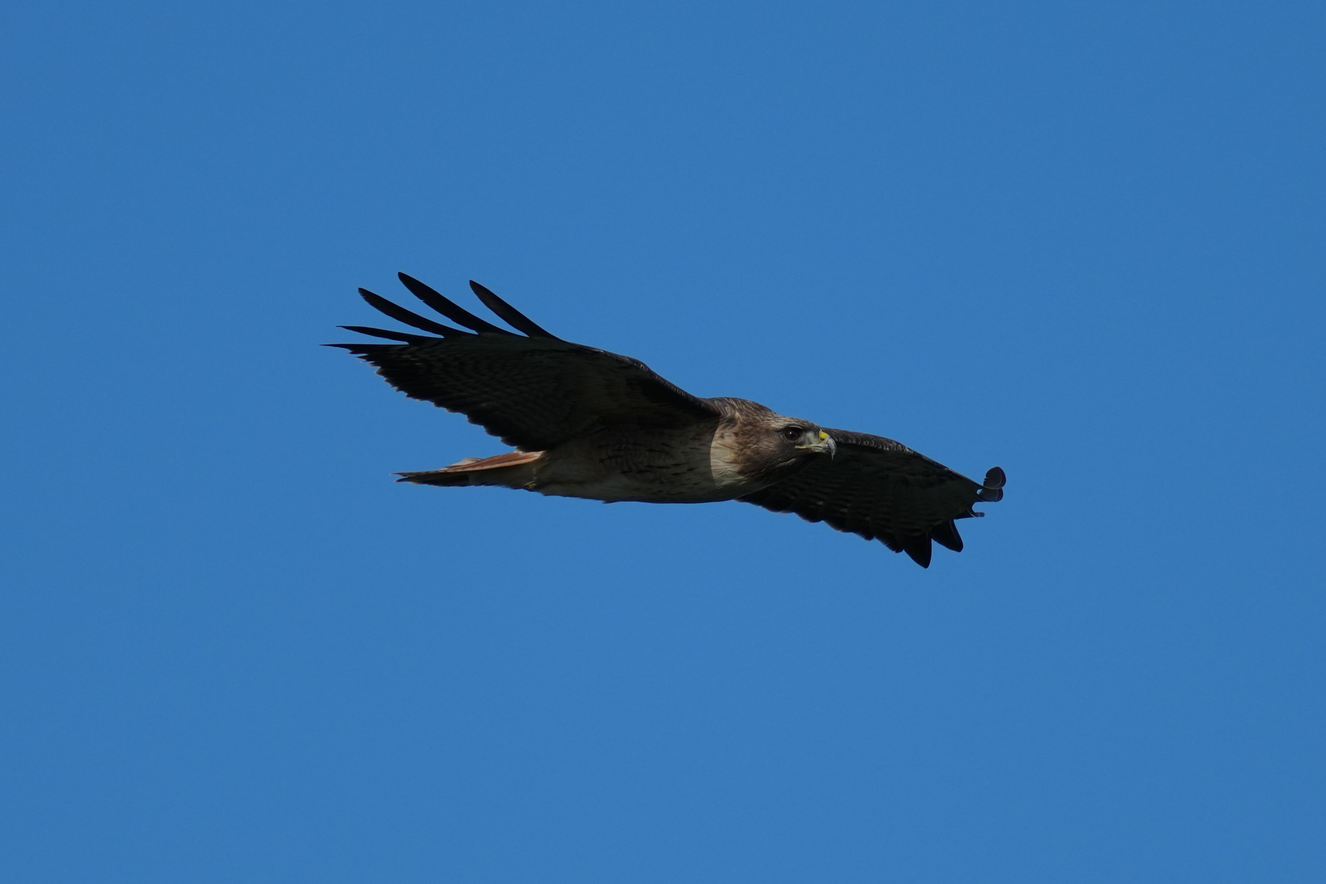 Point Reyes National Seashore - Chimney Rock