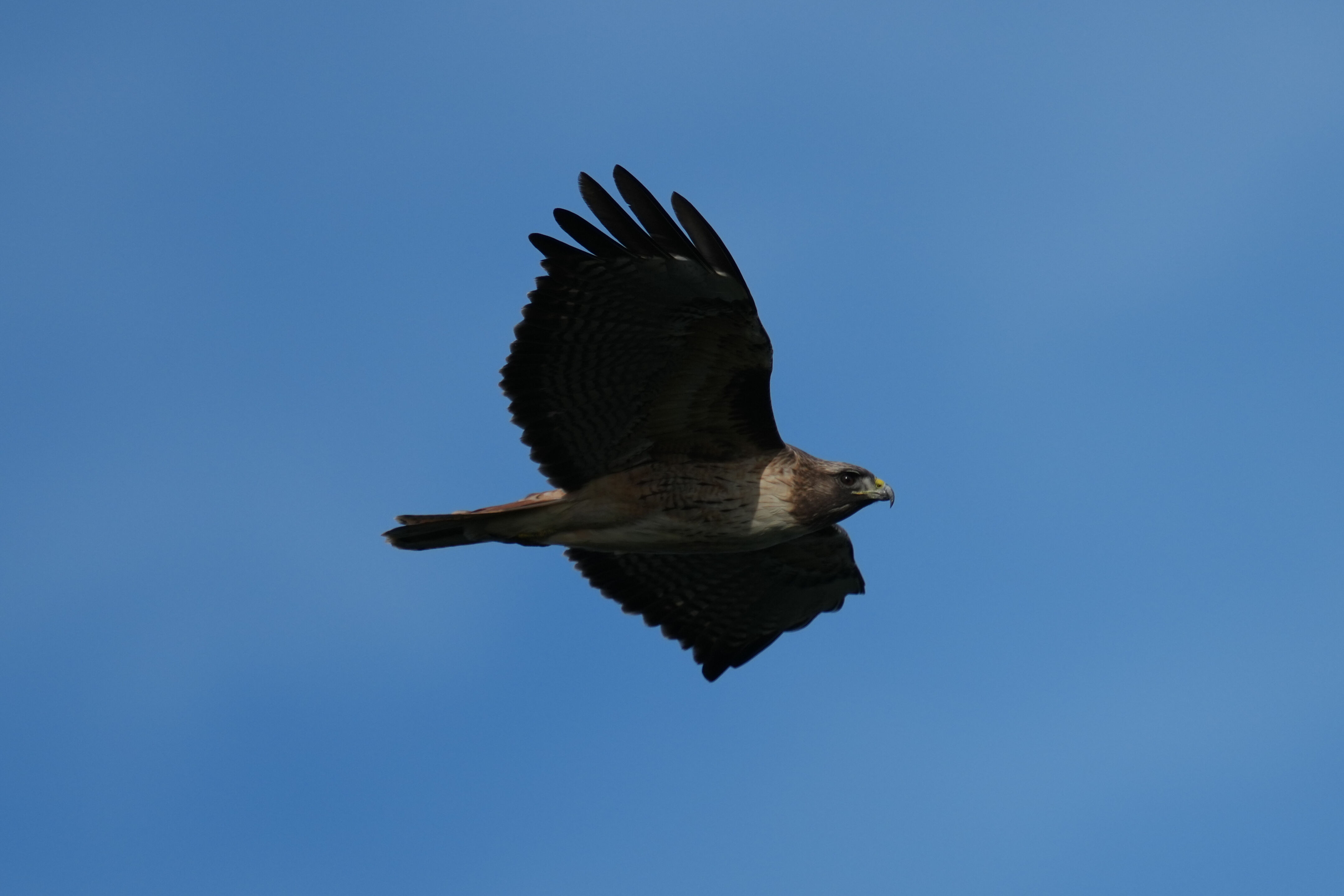 Point Reyes National Seashore - Chimney Rock