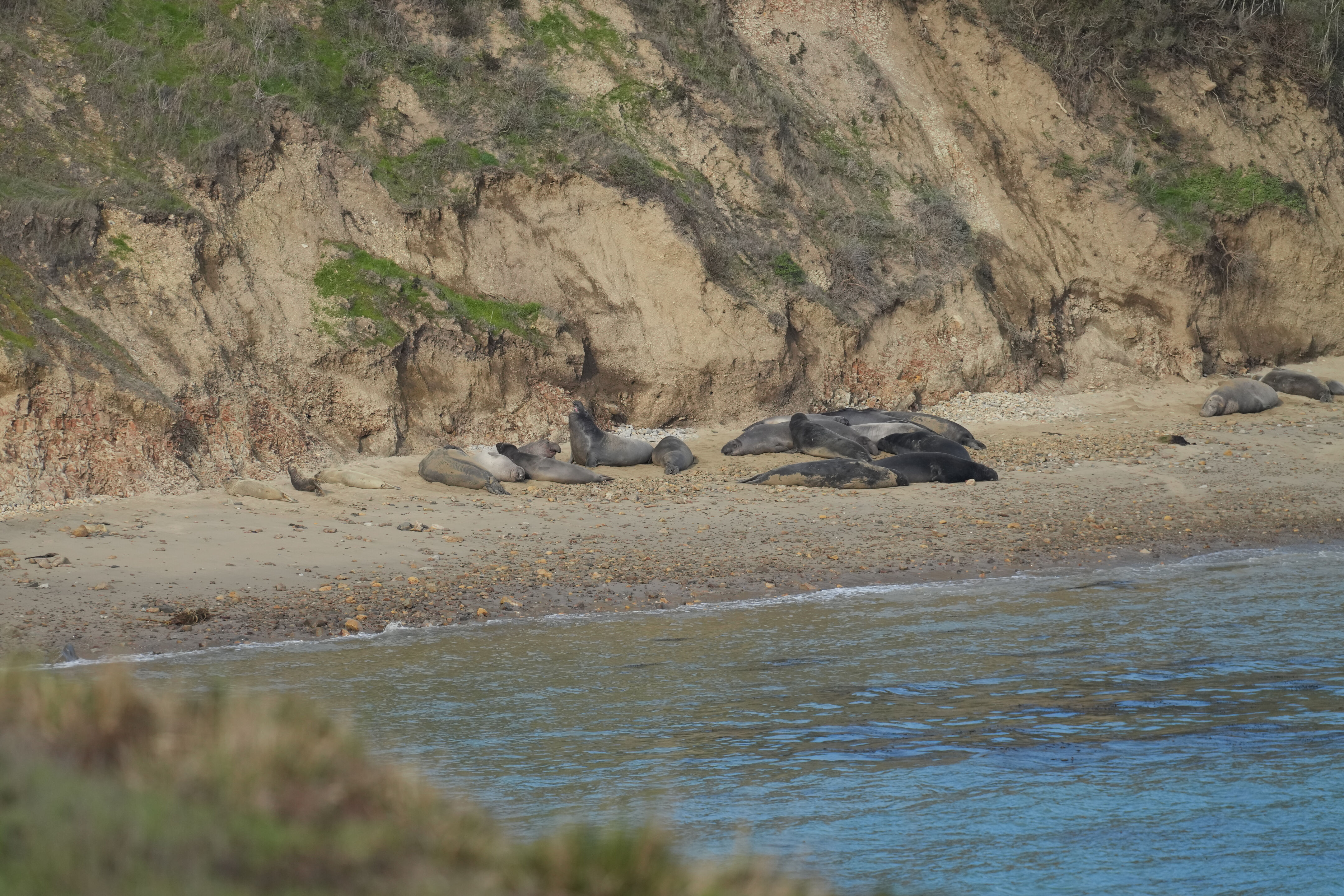 Point Reyes National Seashore - Chimney Rock