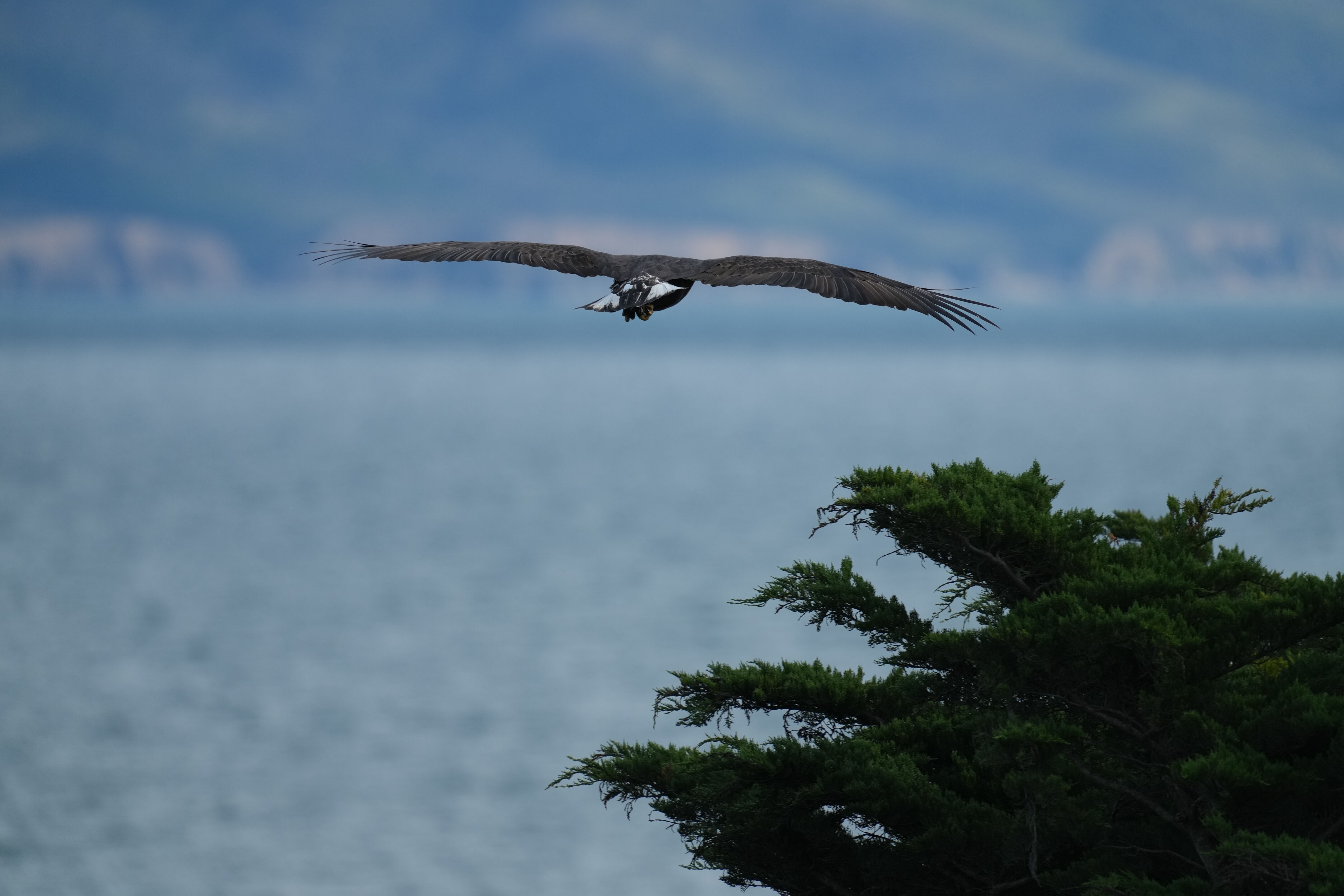 Point Reyes National Seashore - Chimney Rock
