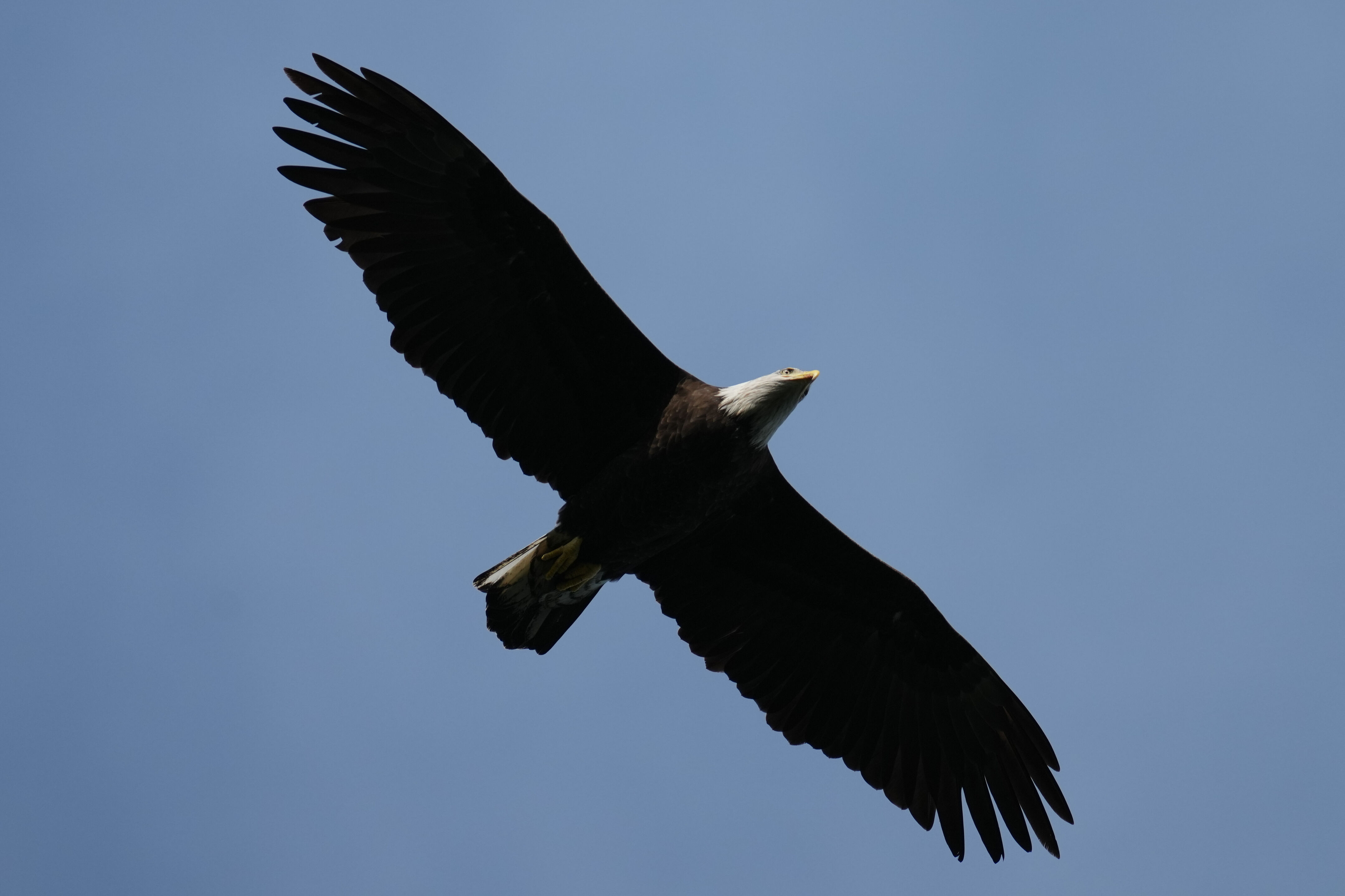 Point Reyes National Seashore - Chimney Rock
