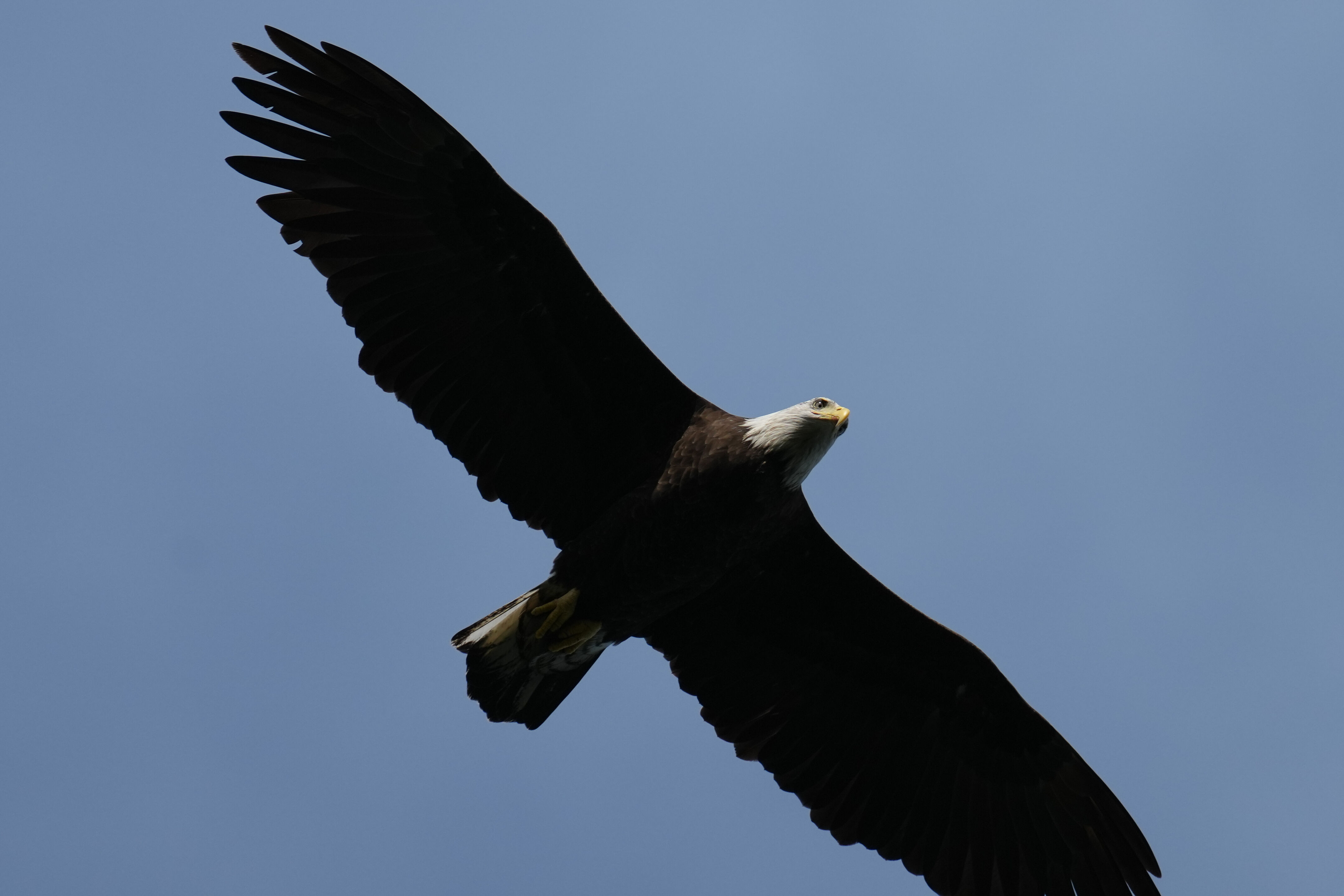 Point Reyes National Seashore - Chimney Rock