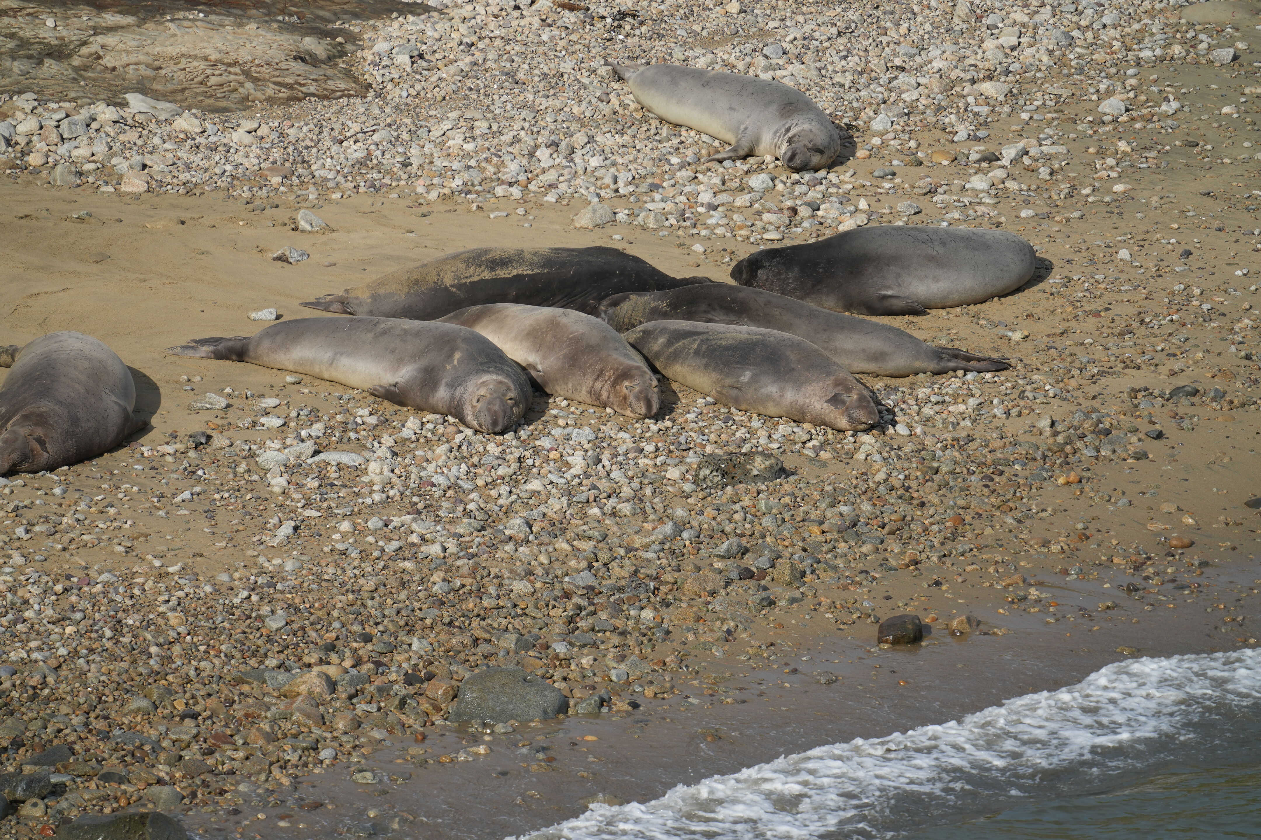 Point Reyes National Seashore - Chimney Rock