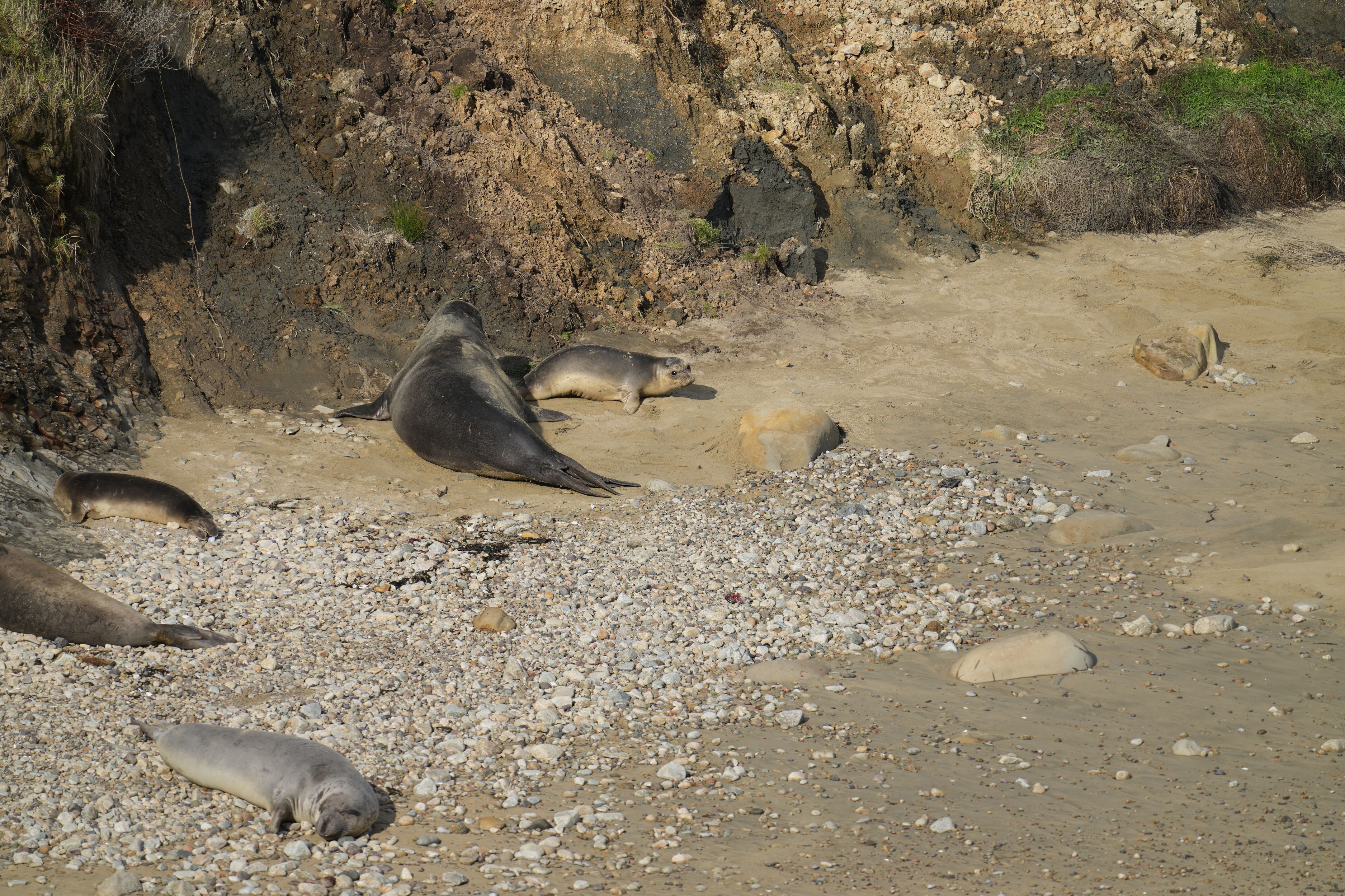 Point Reyes National Seashore - Chimney Rock